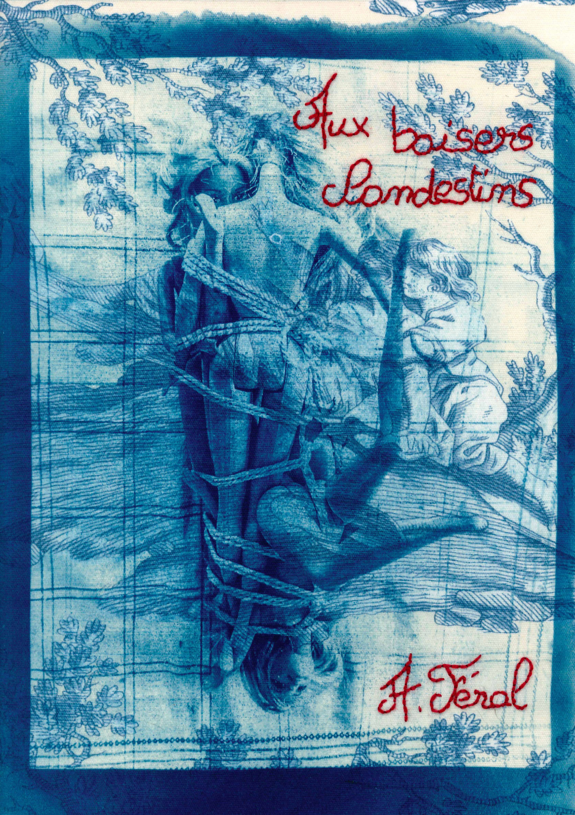 Cover of Aux baisers clandestins