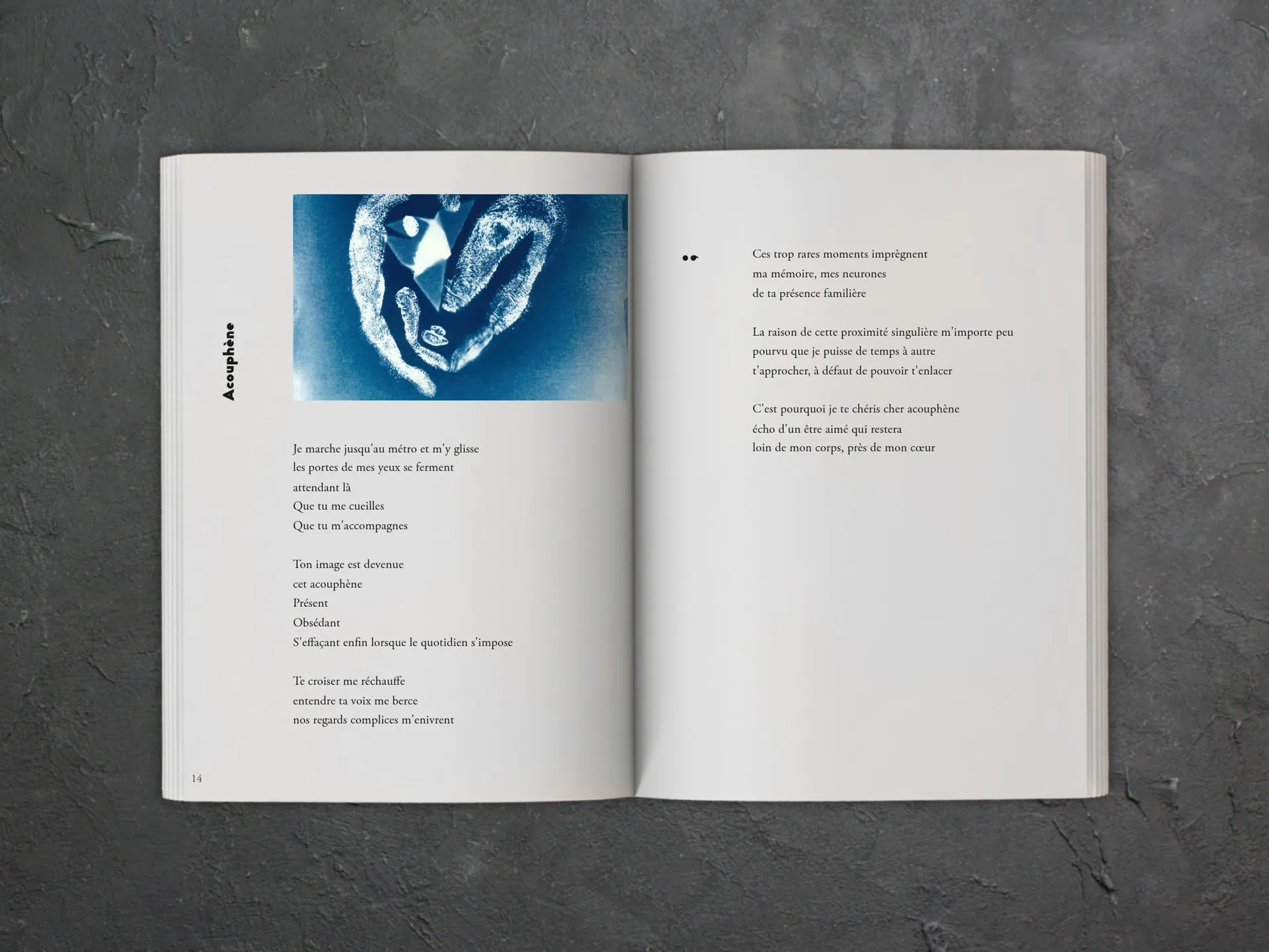 Cover of the book