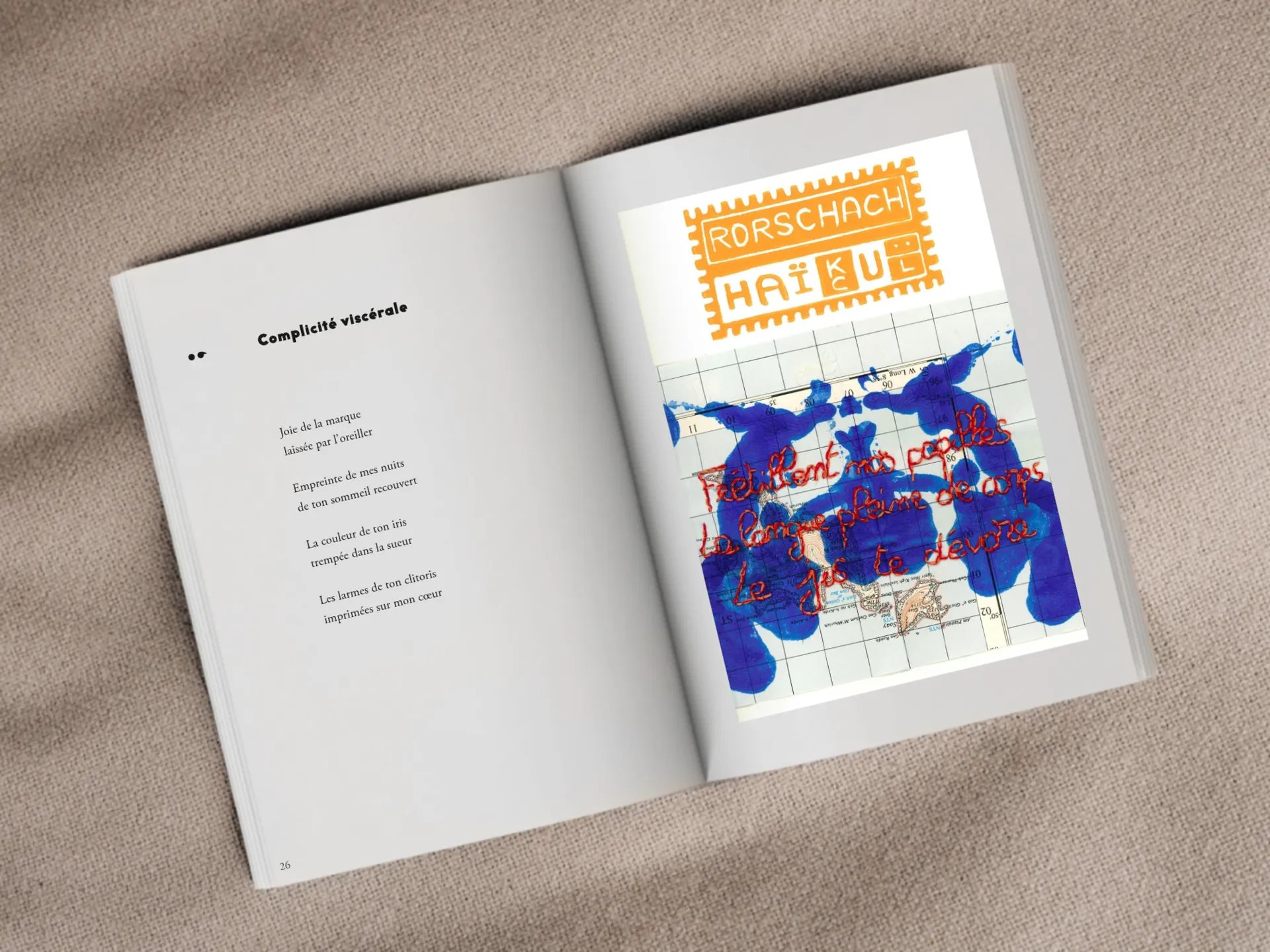Cover of the book