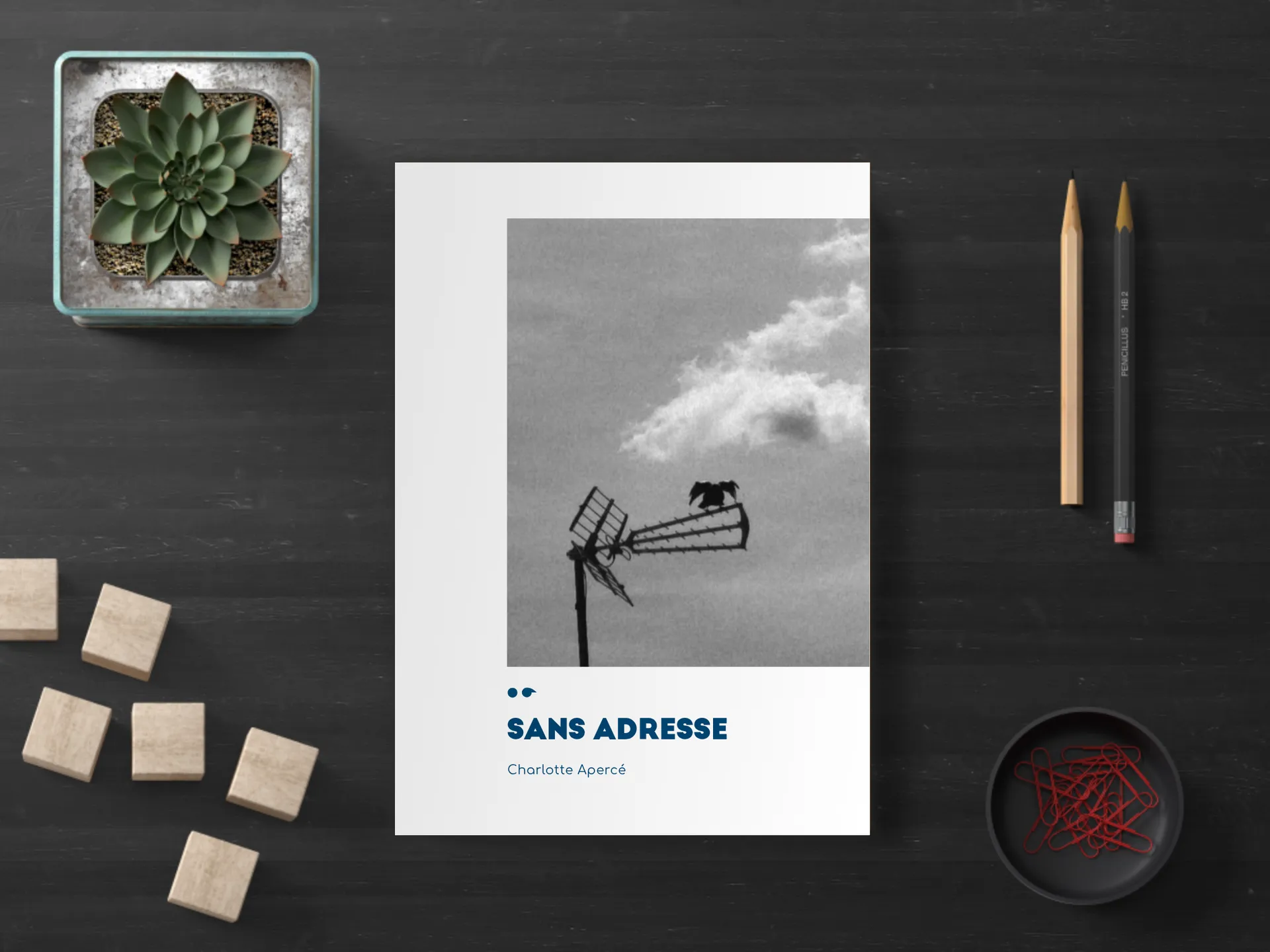 Cover of the book