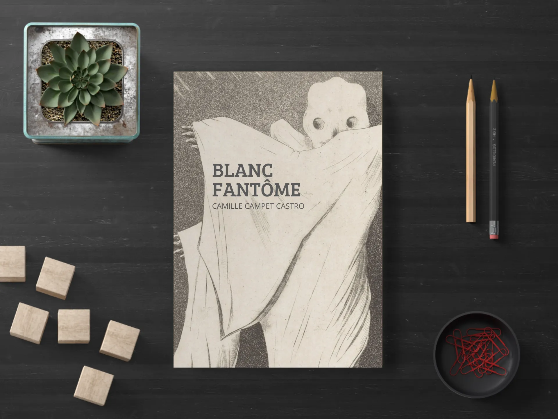 Cover of the book