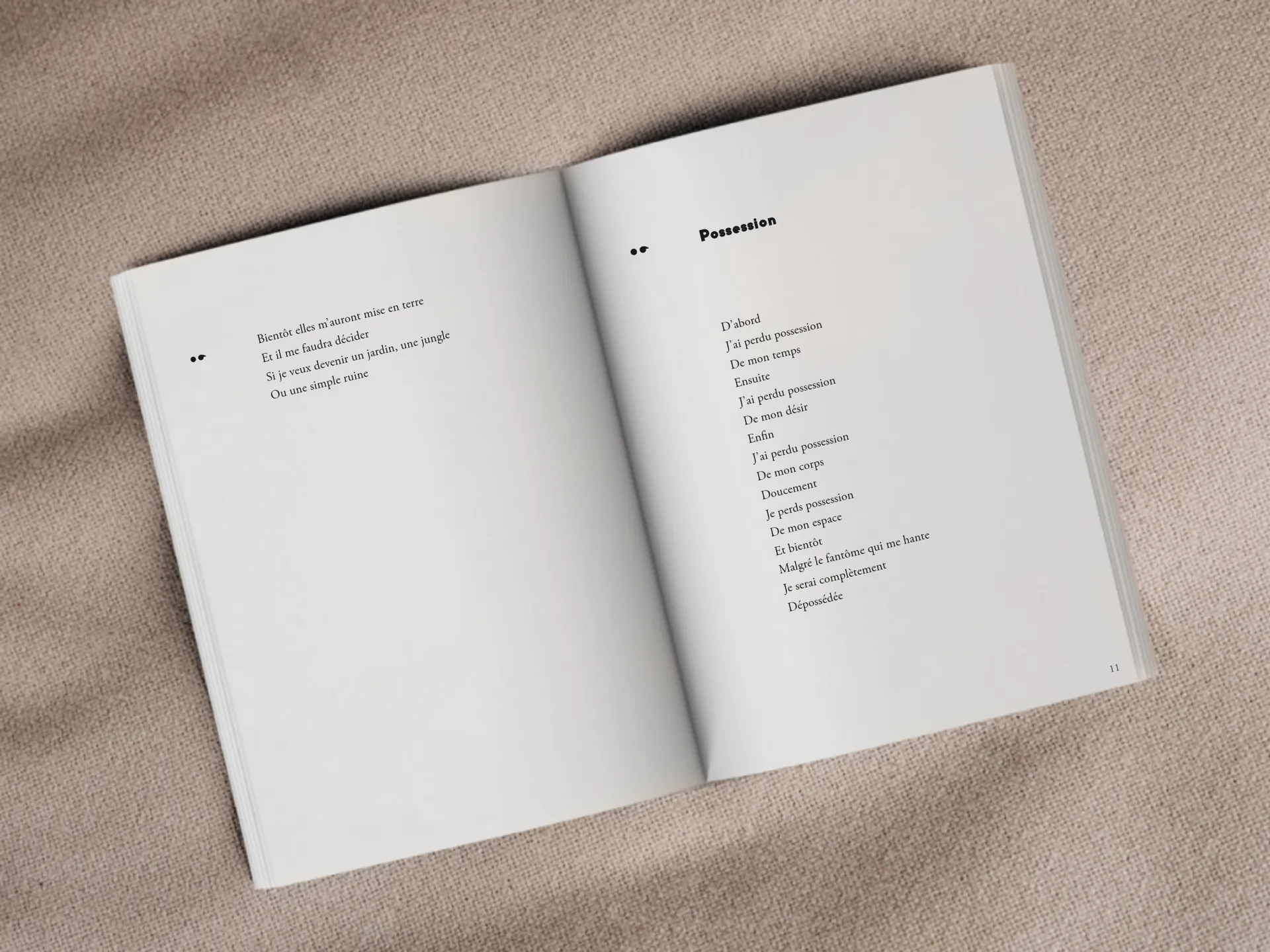 Cover of the book