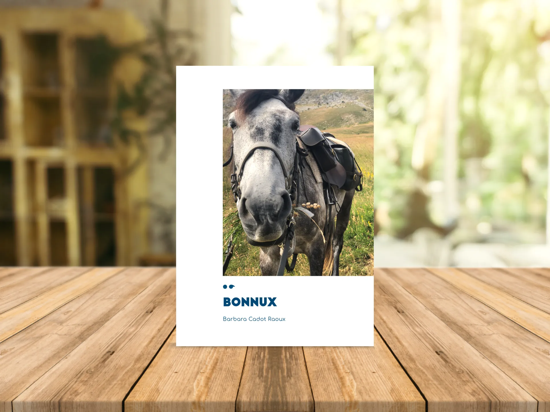 Cover of the book