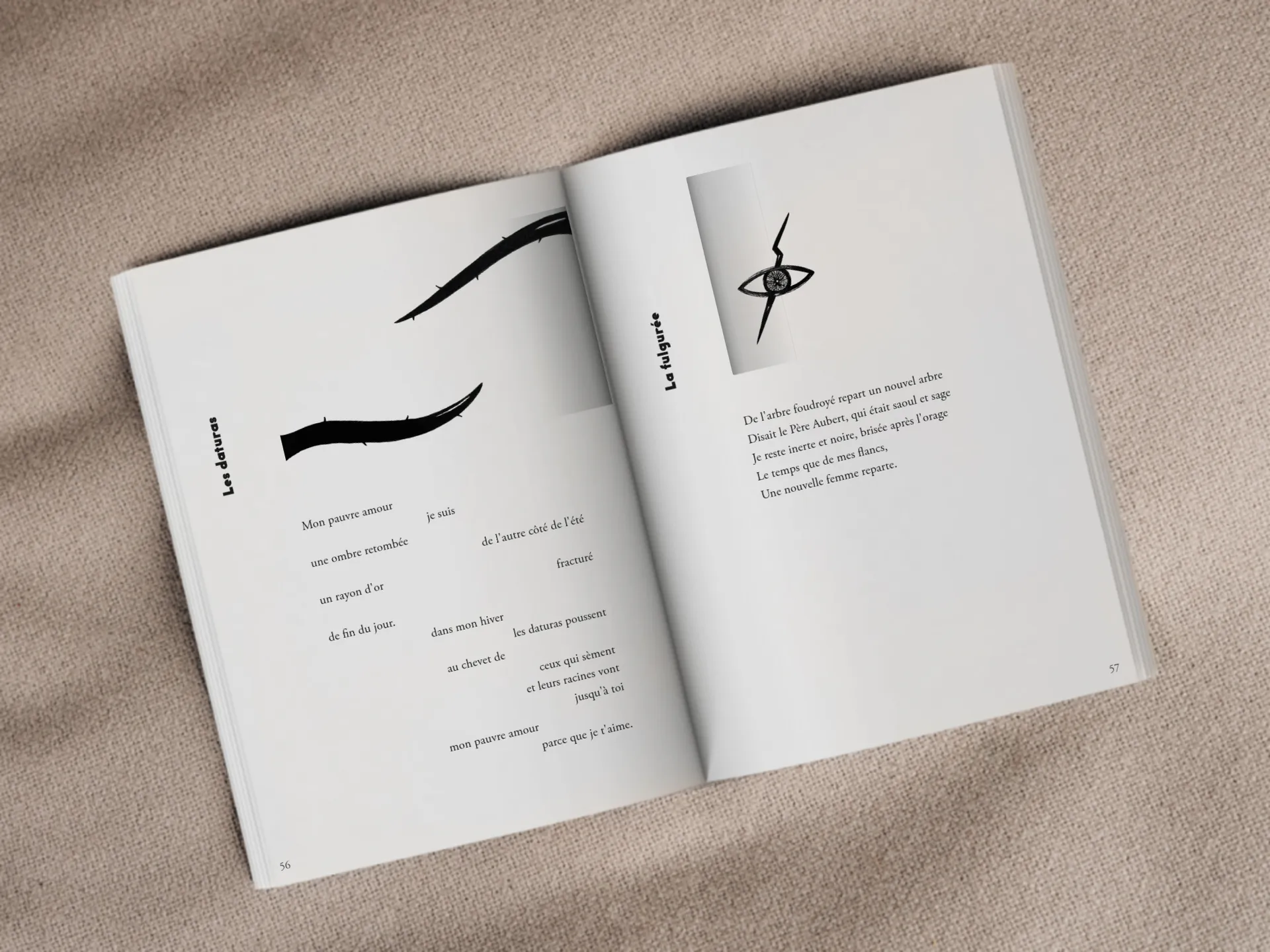 Cover of the book