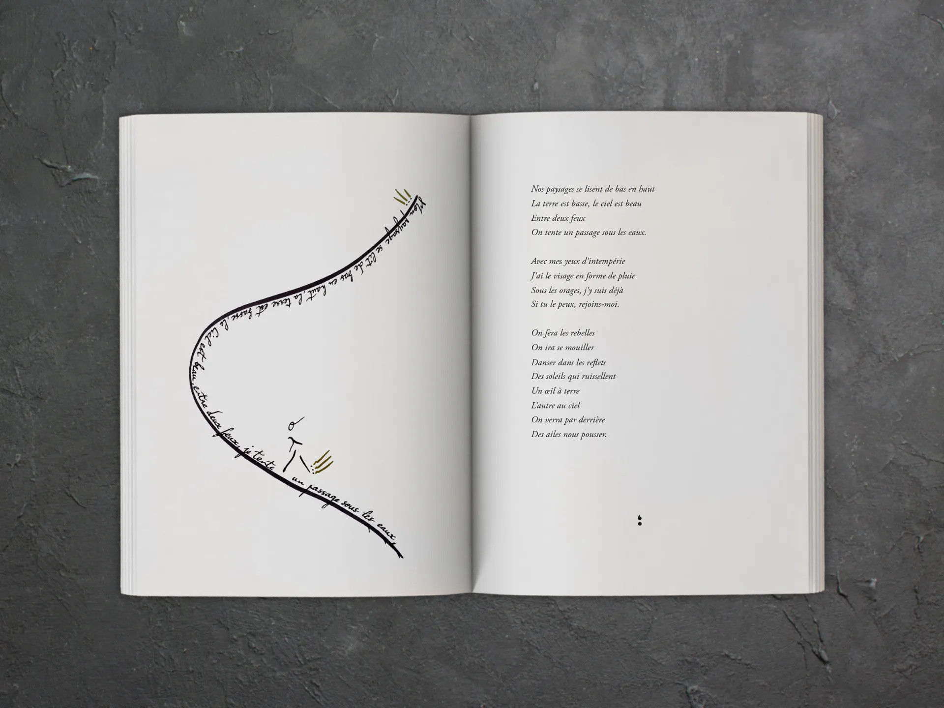 Cover of the book