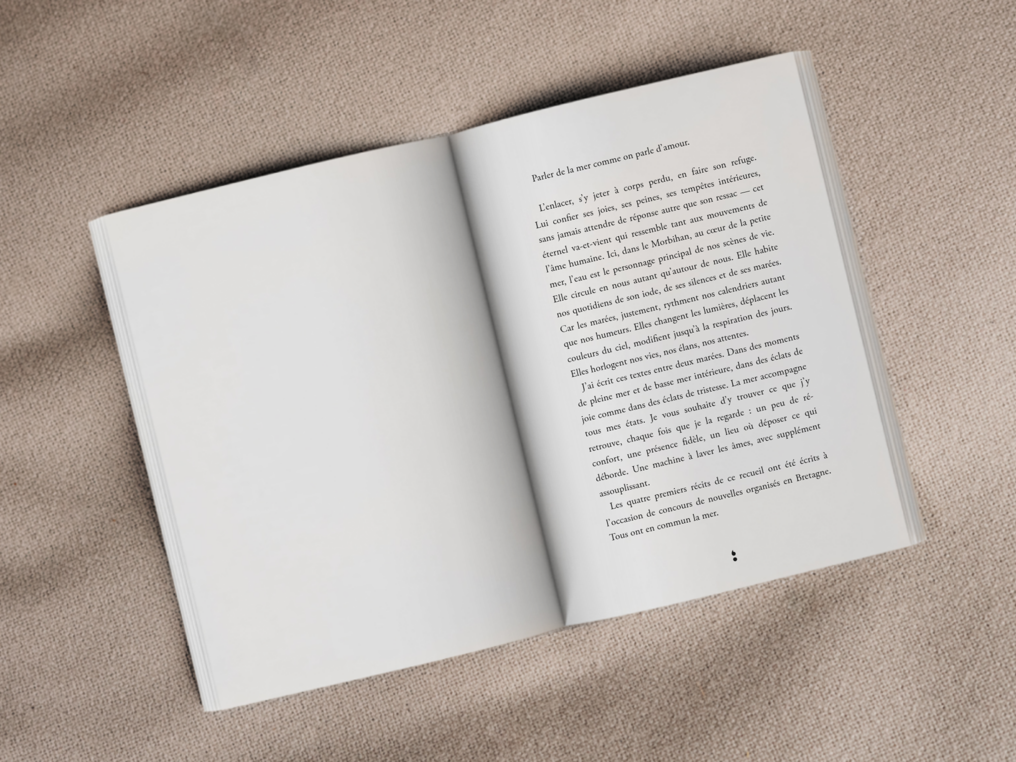Cover of the book
