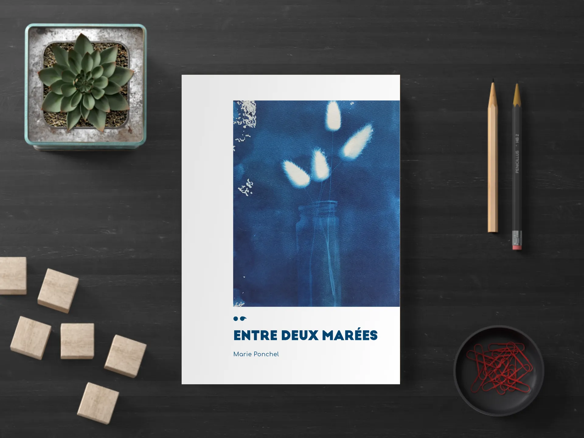 Cover of the book