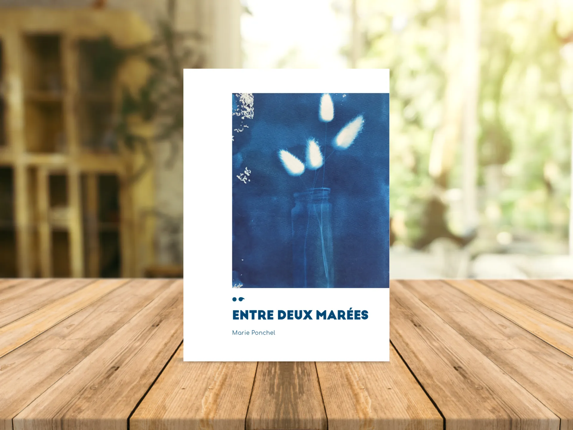 Cover of the book