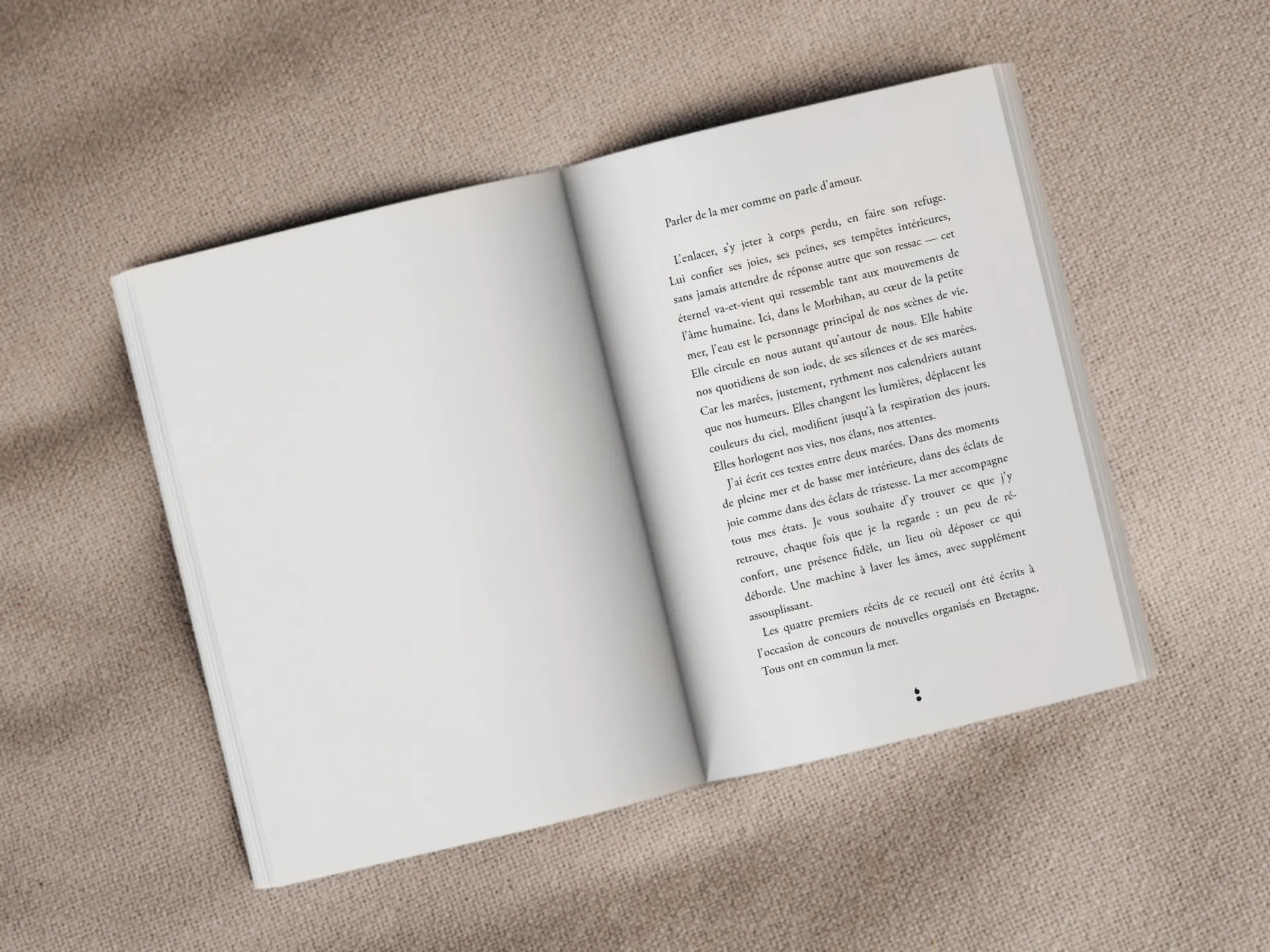 Cover of the book