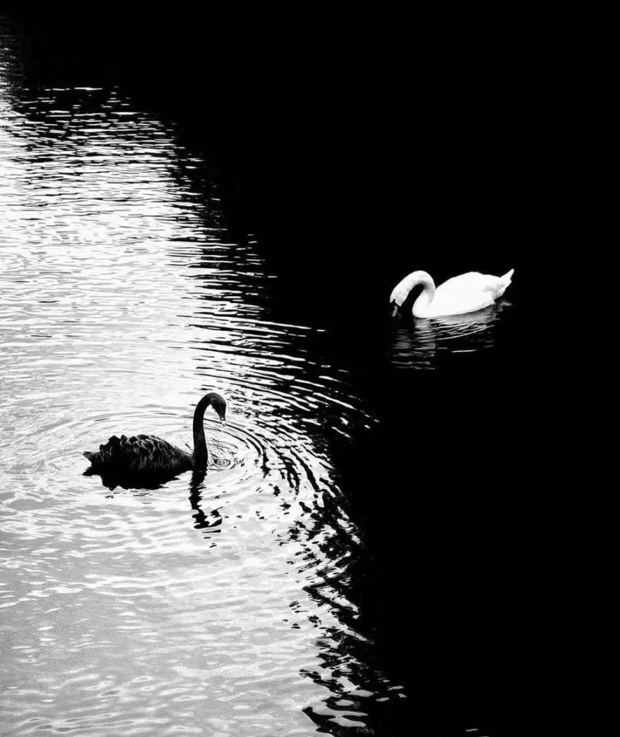 Portrait of the author