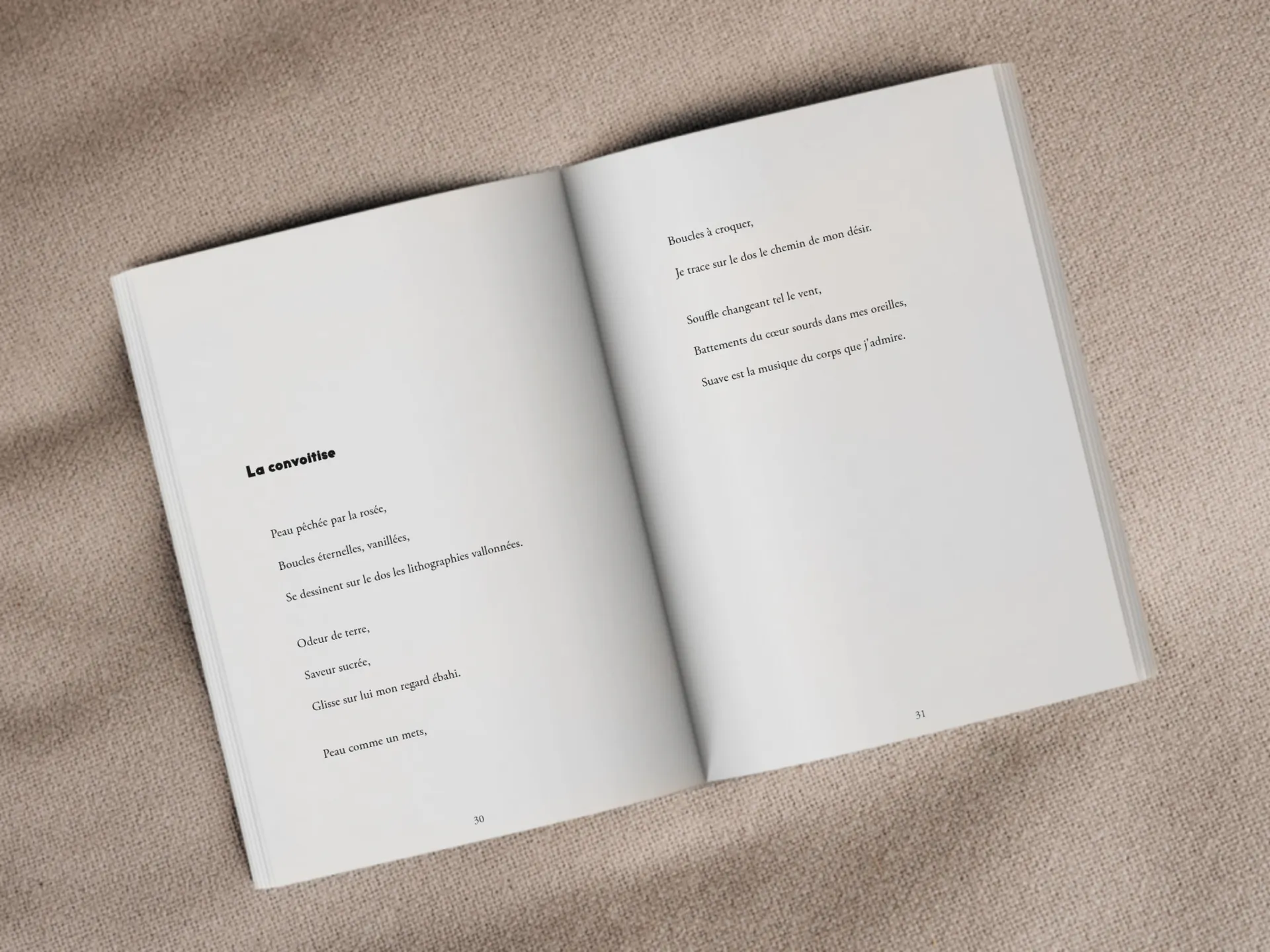 Cover of the book