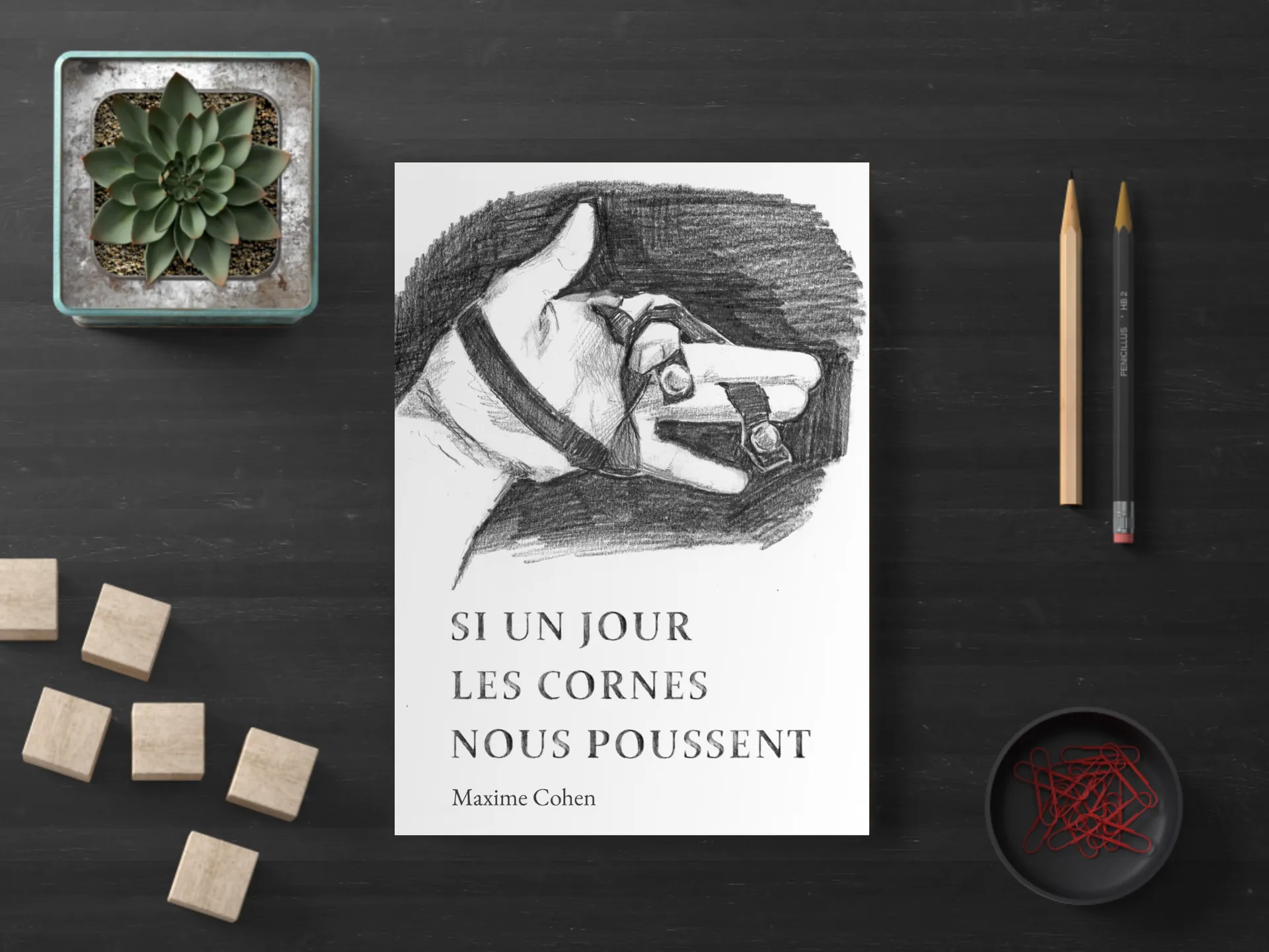 Cover of the book