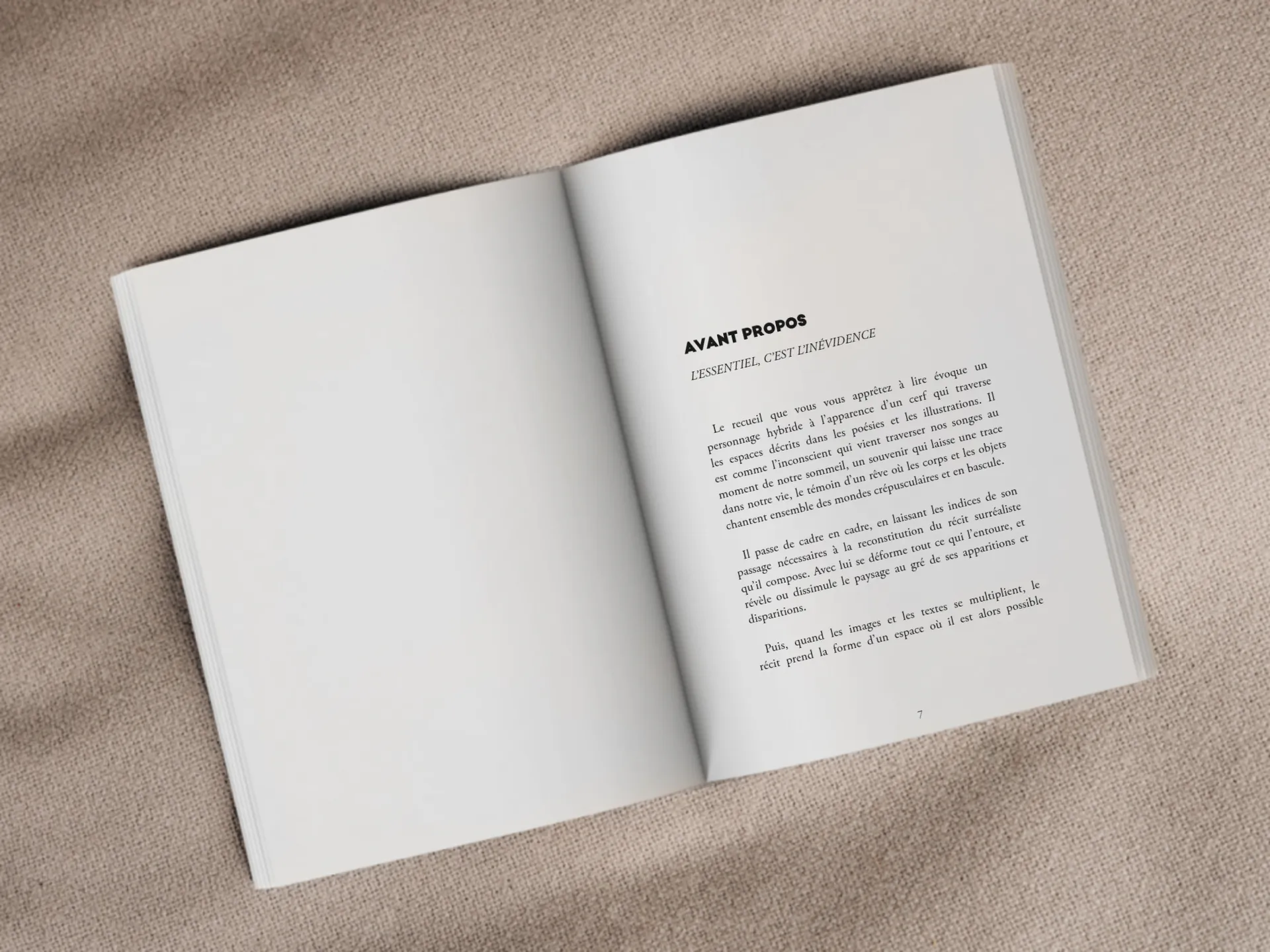 Cover of the book