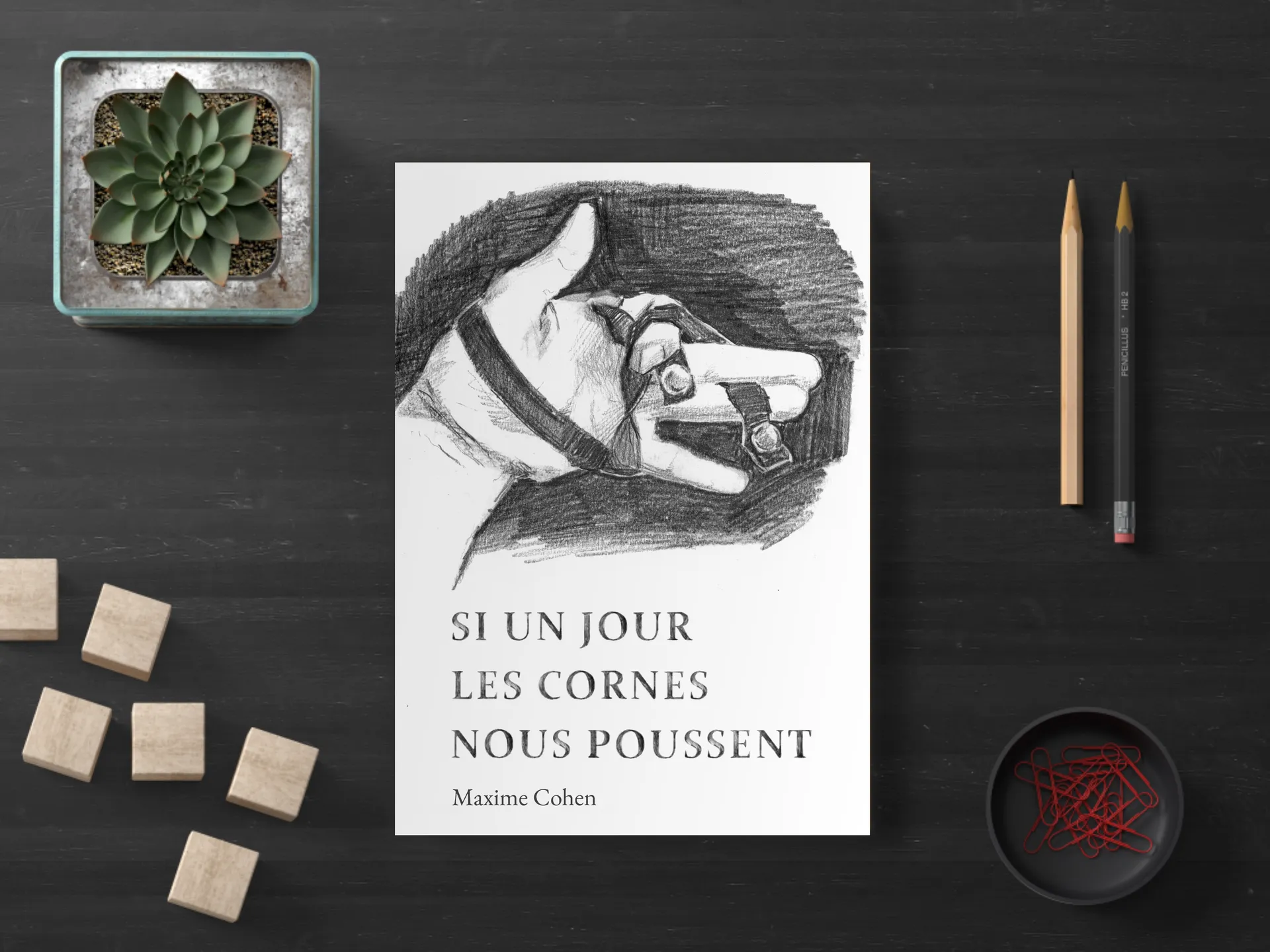 Cover of the book
