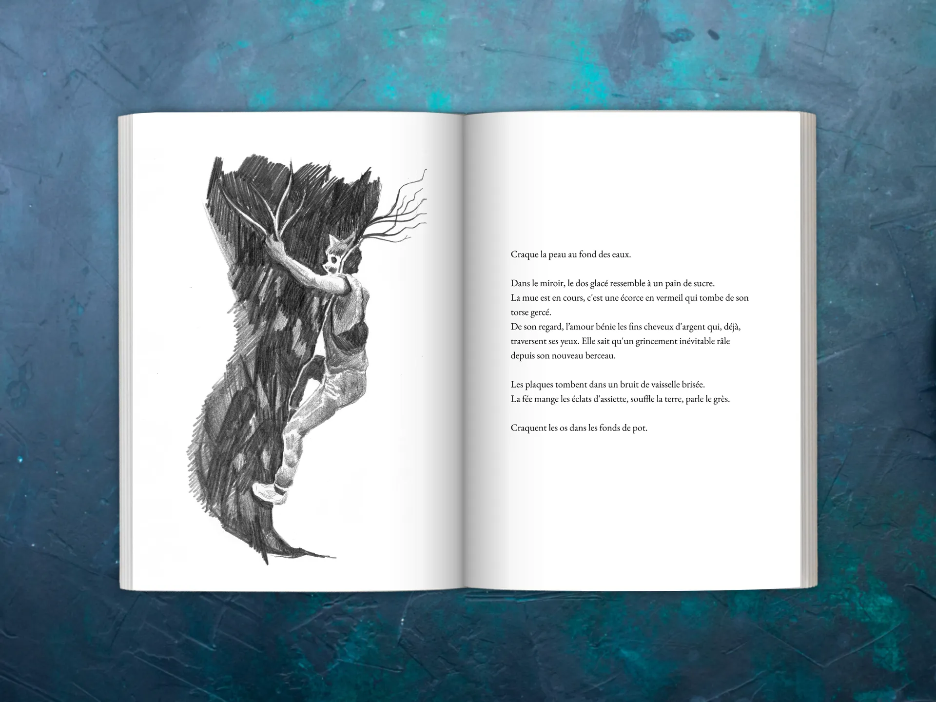 Cover of the book