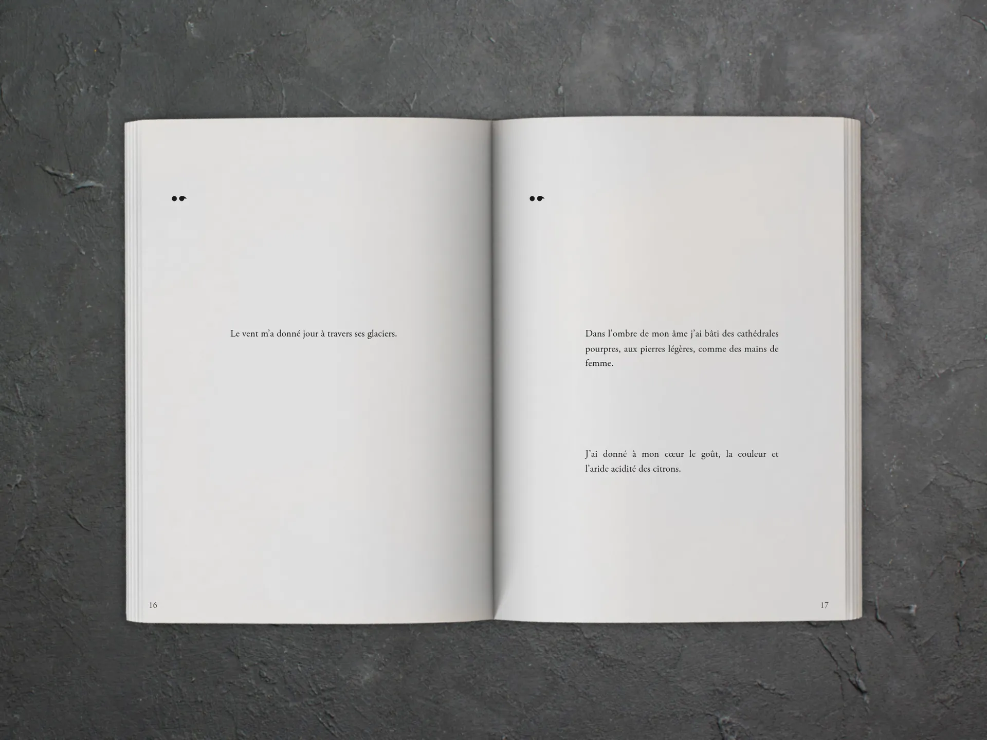 Cover of the book