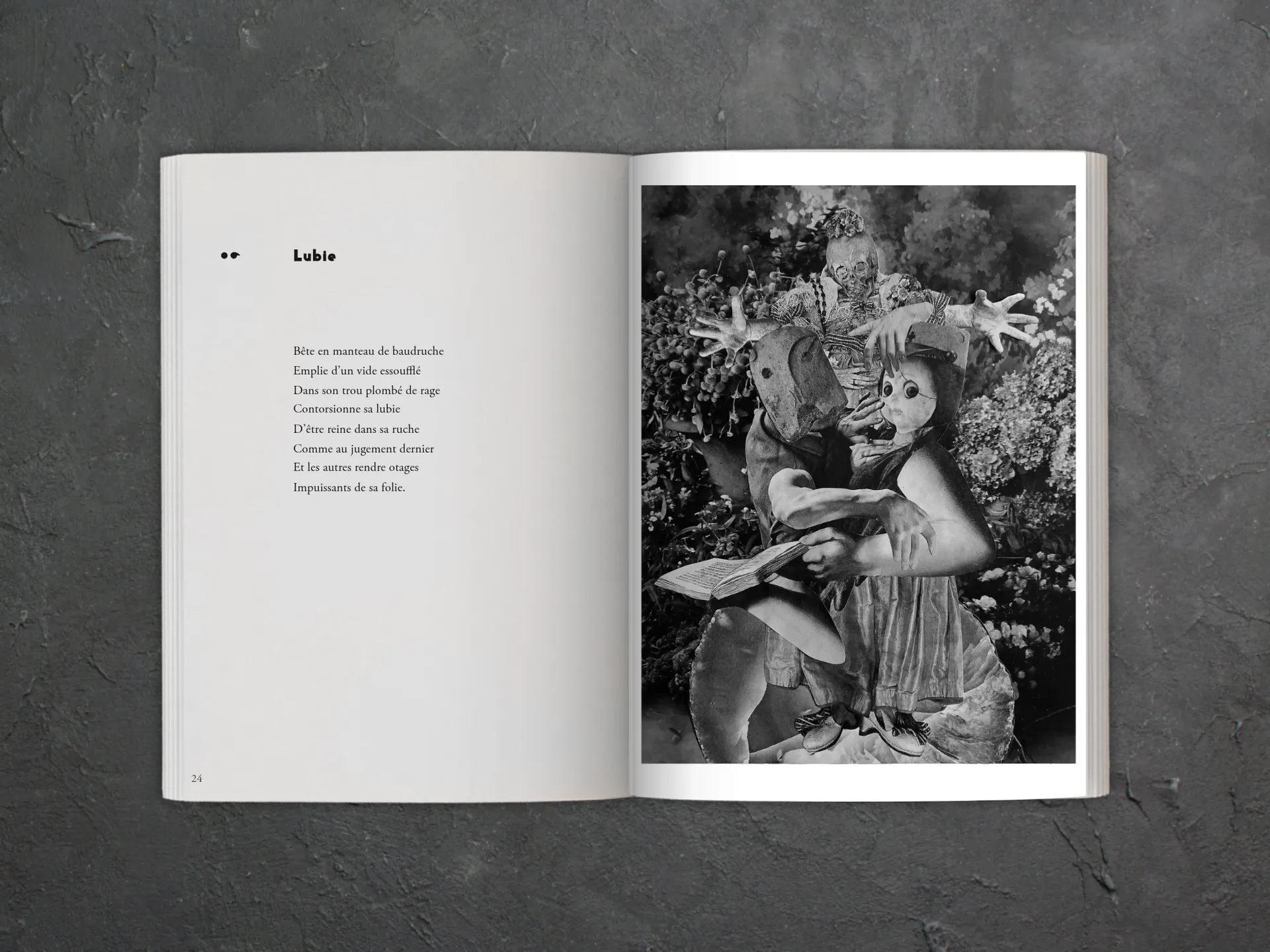 Cover of the book