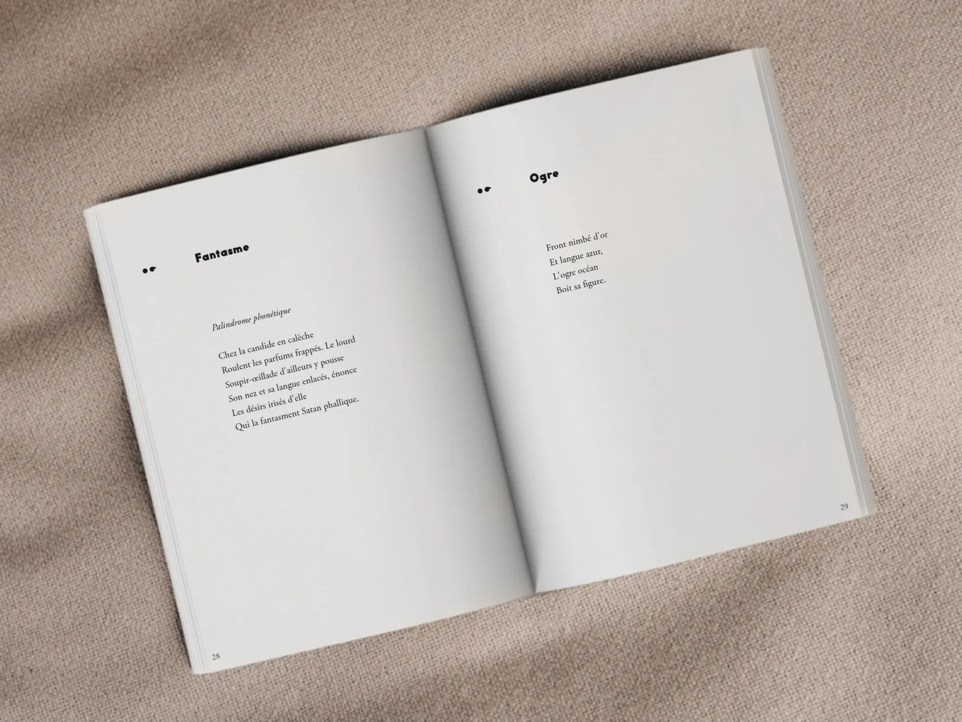 Cover of the book