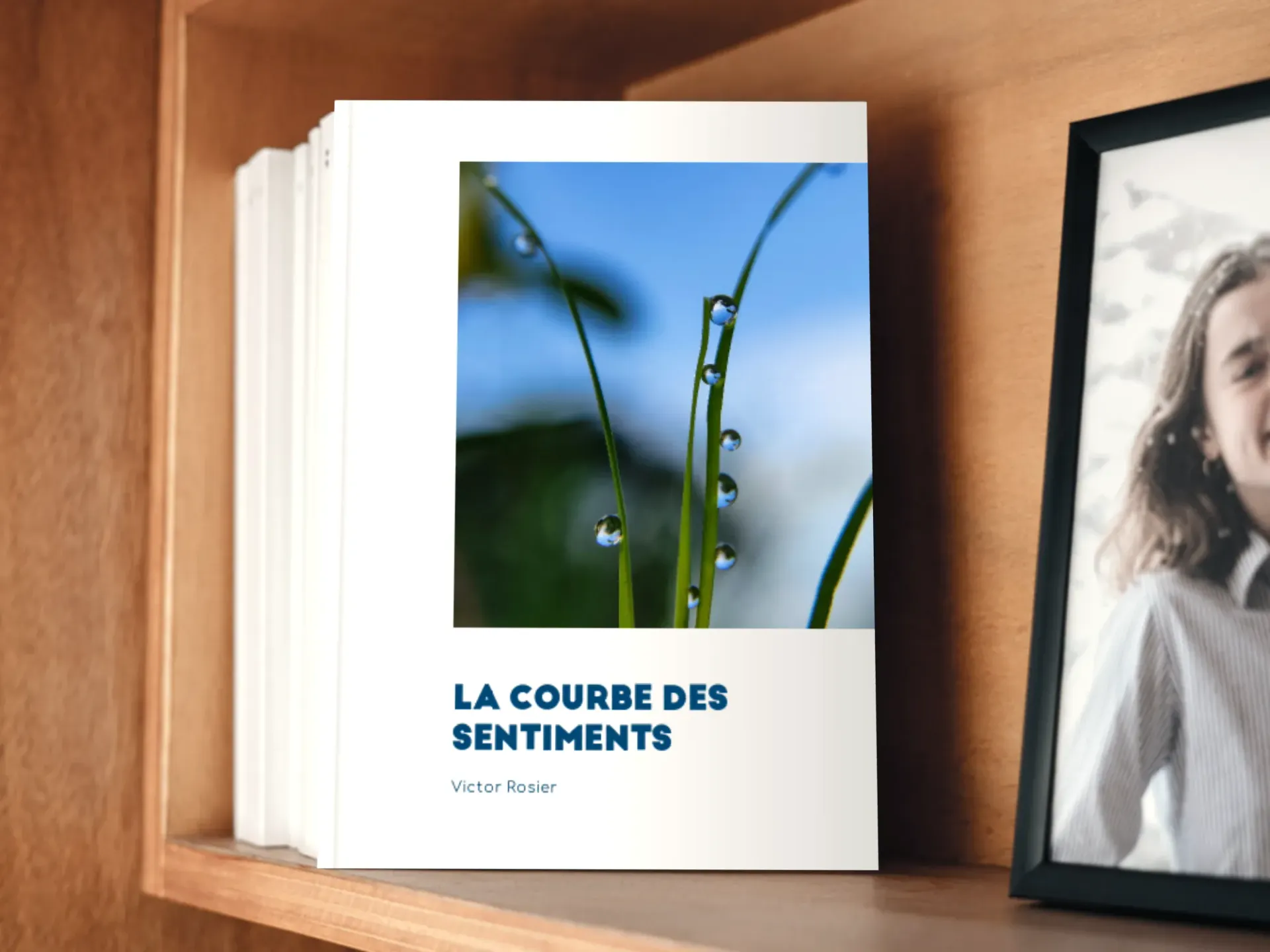 Cover of the book
