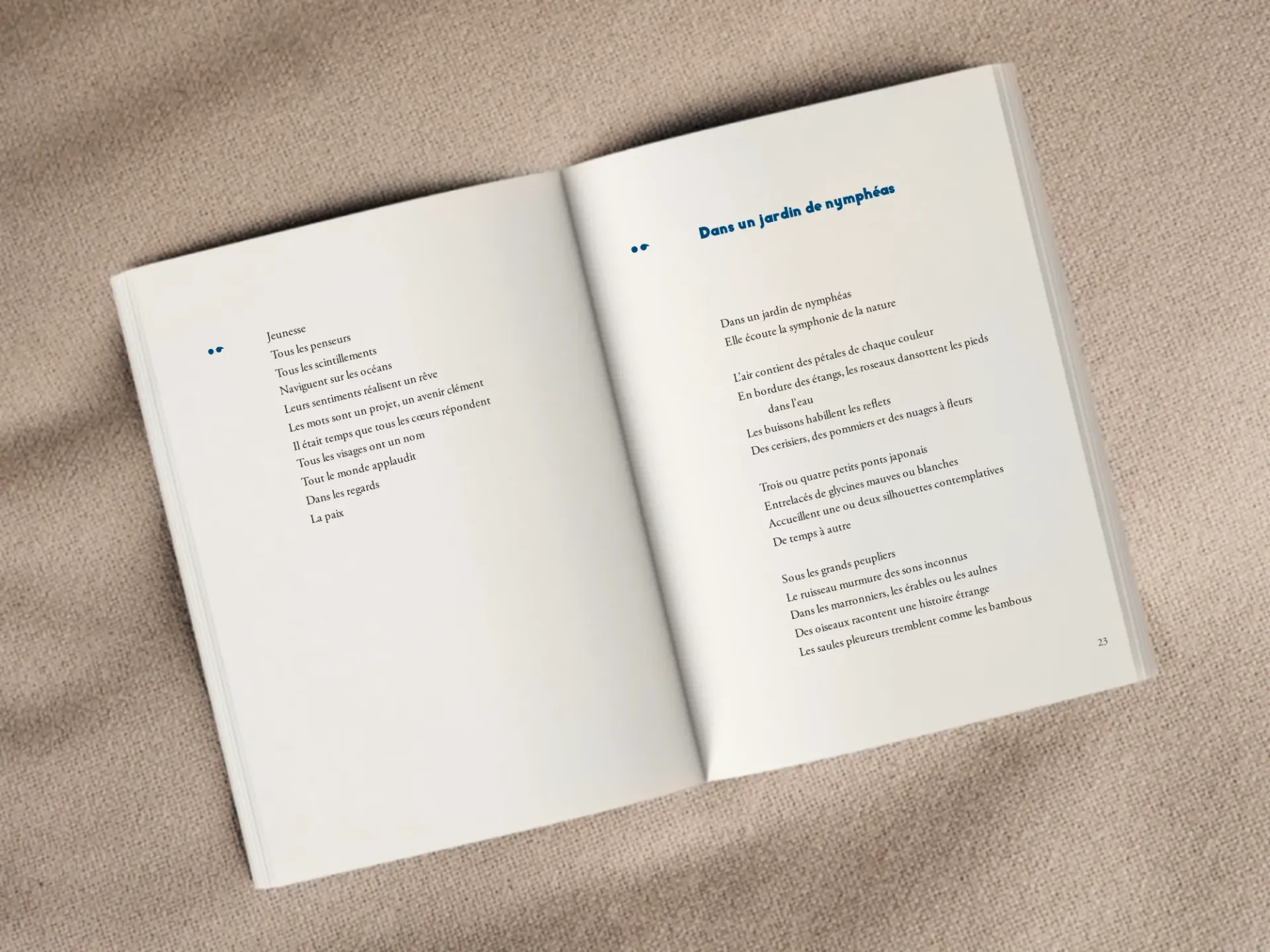 Cover of the book