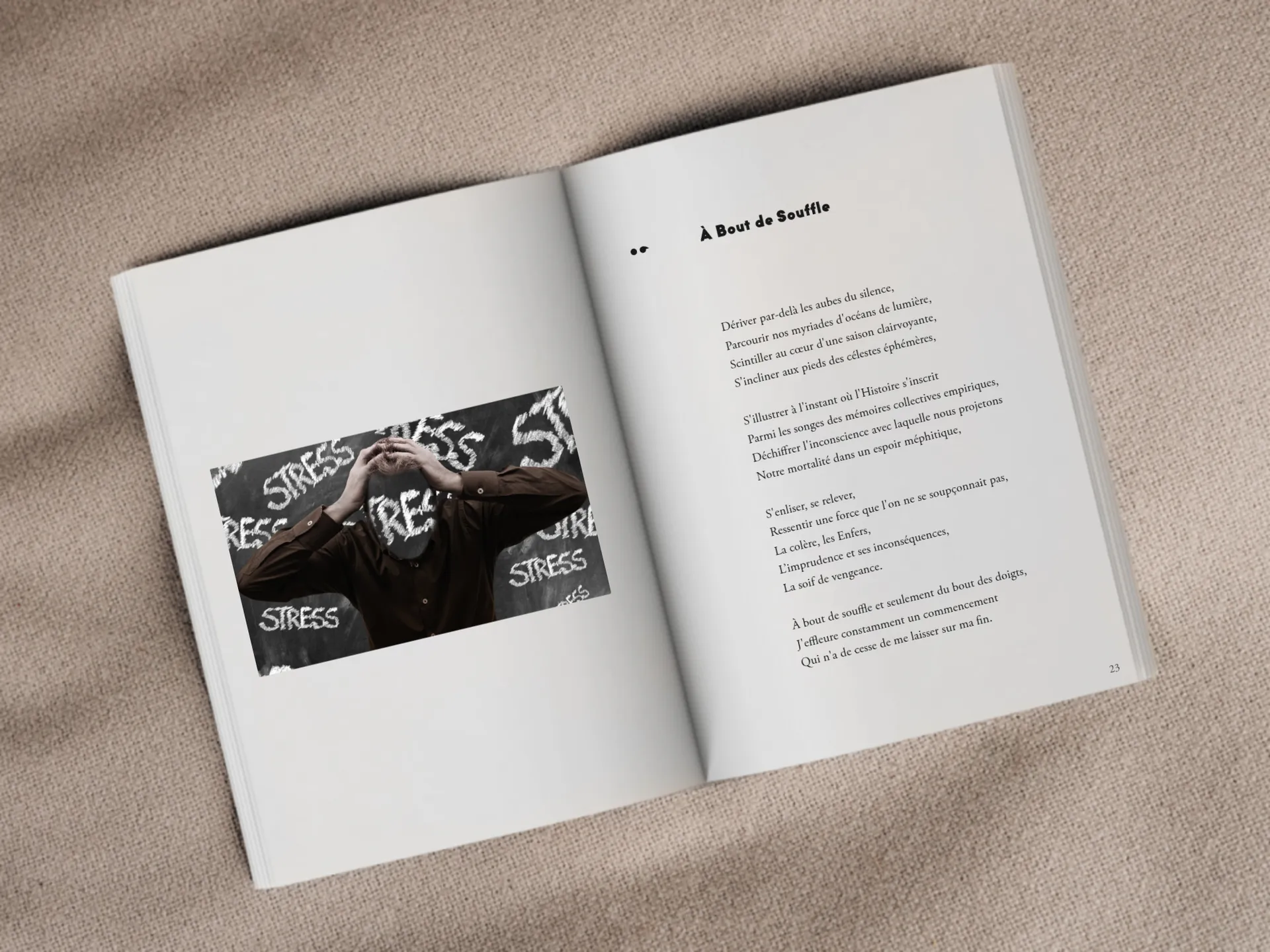 Cover of the book