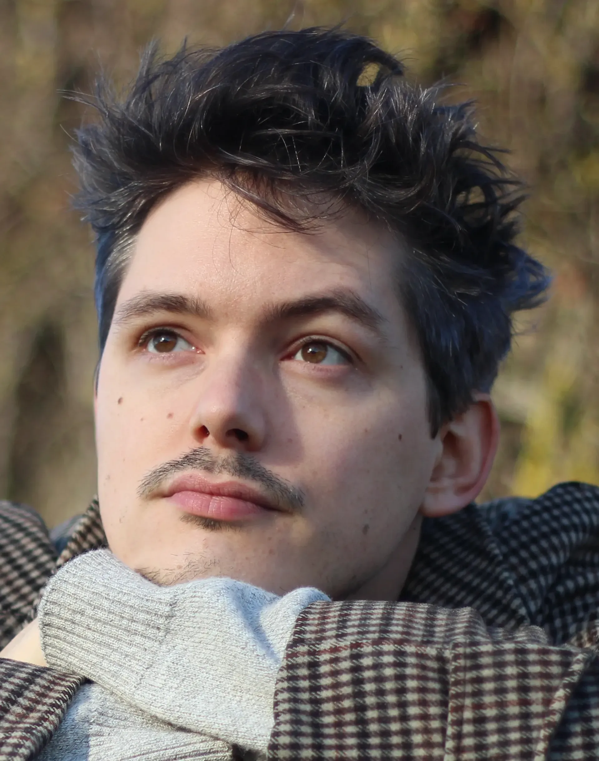 Portrait of the author