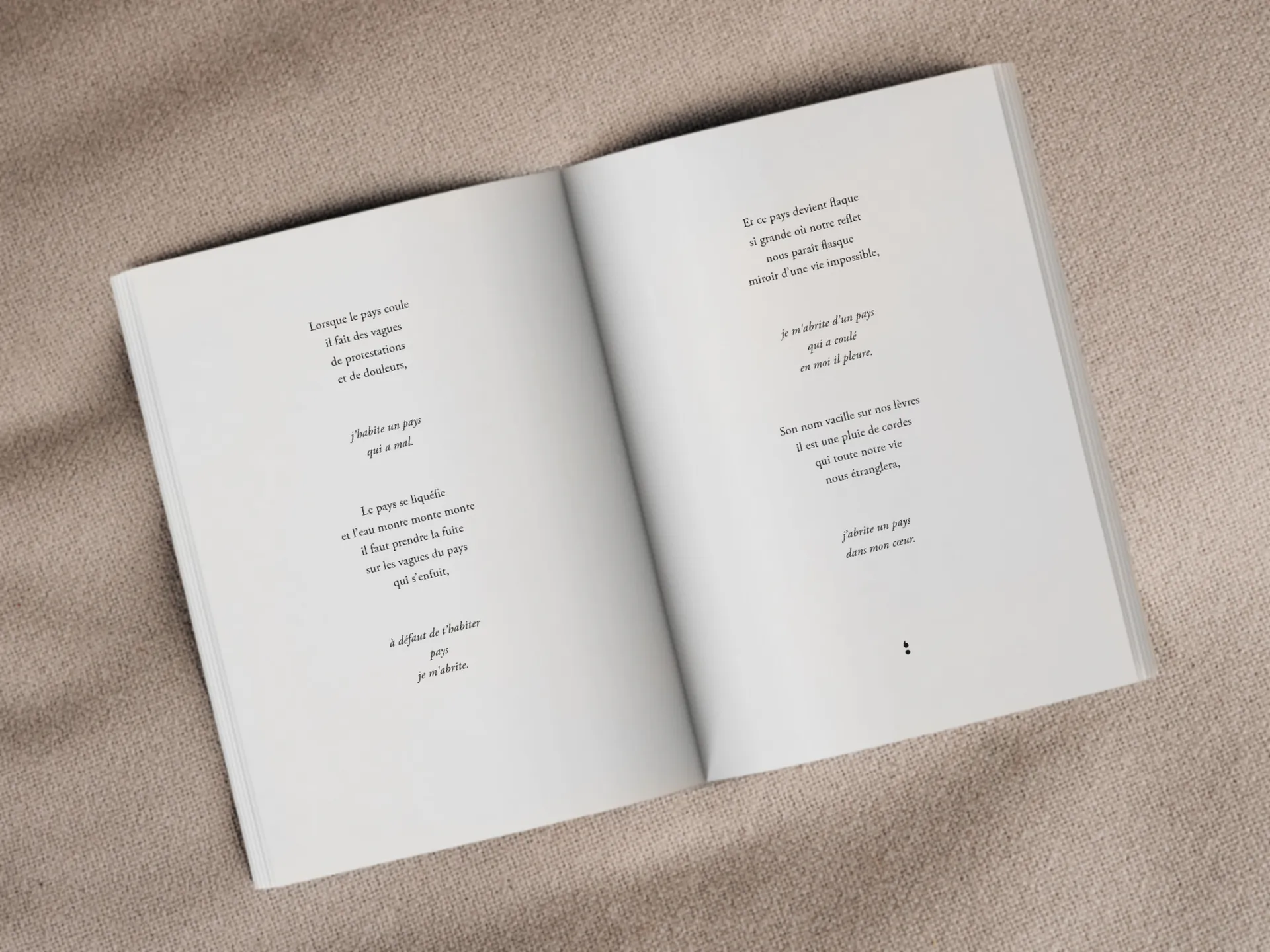 Cover of the book