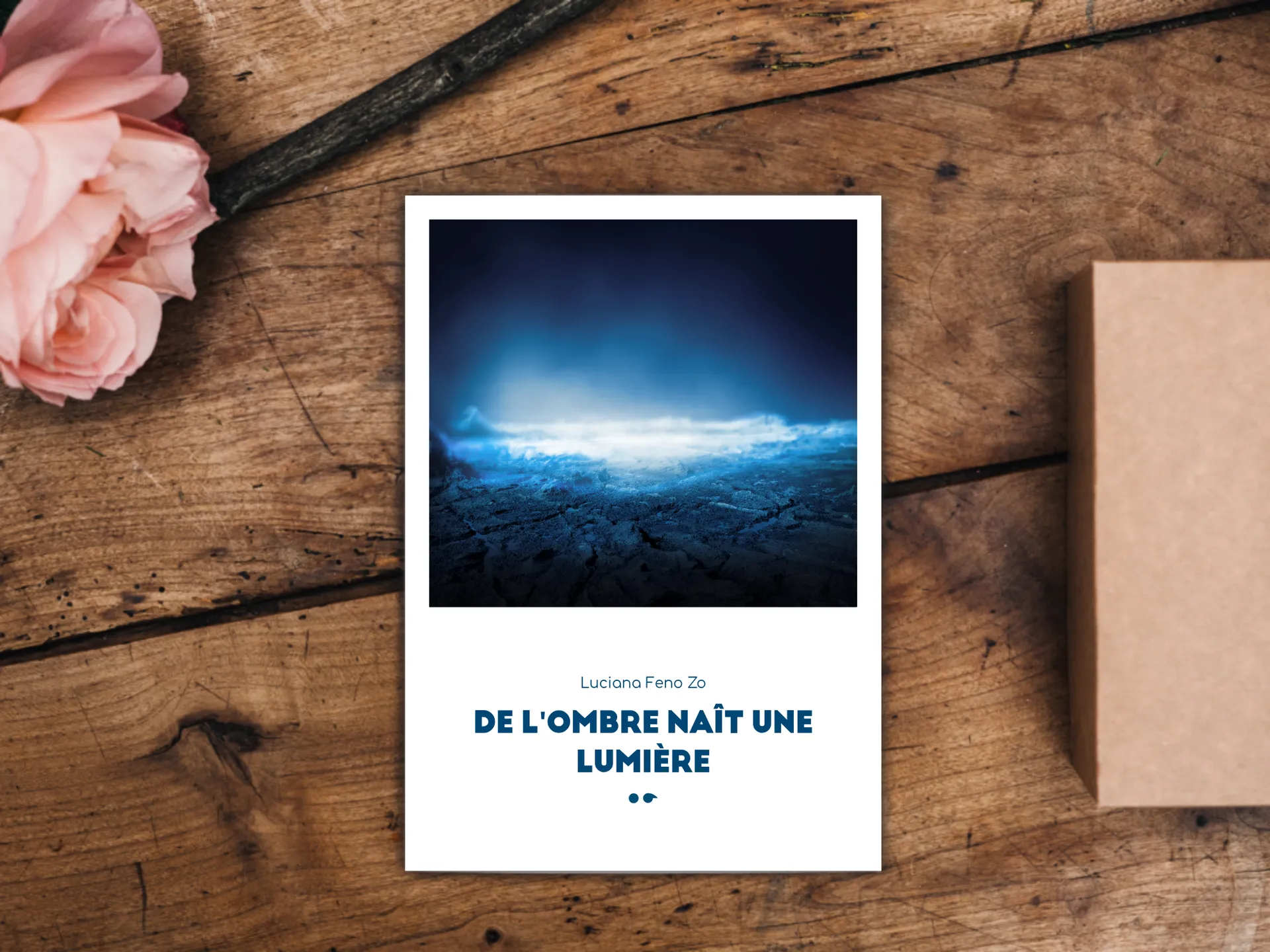 Cover of the book