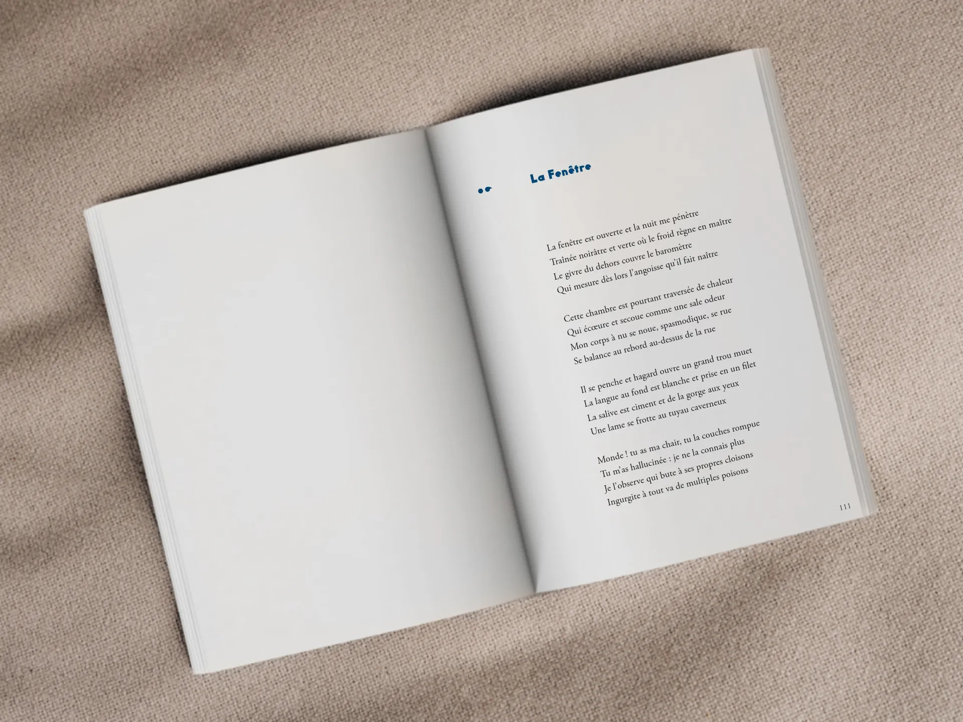 Cover of the book