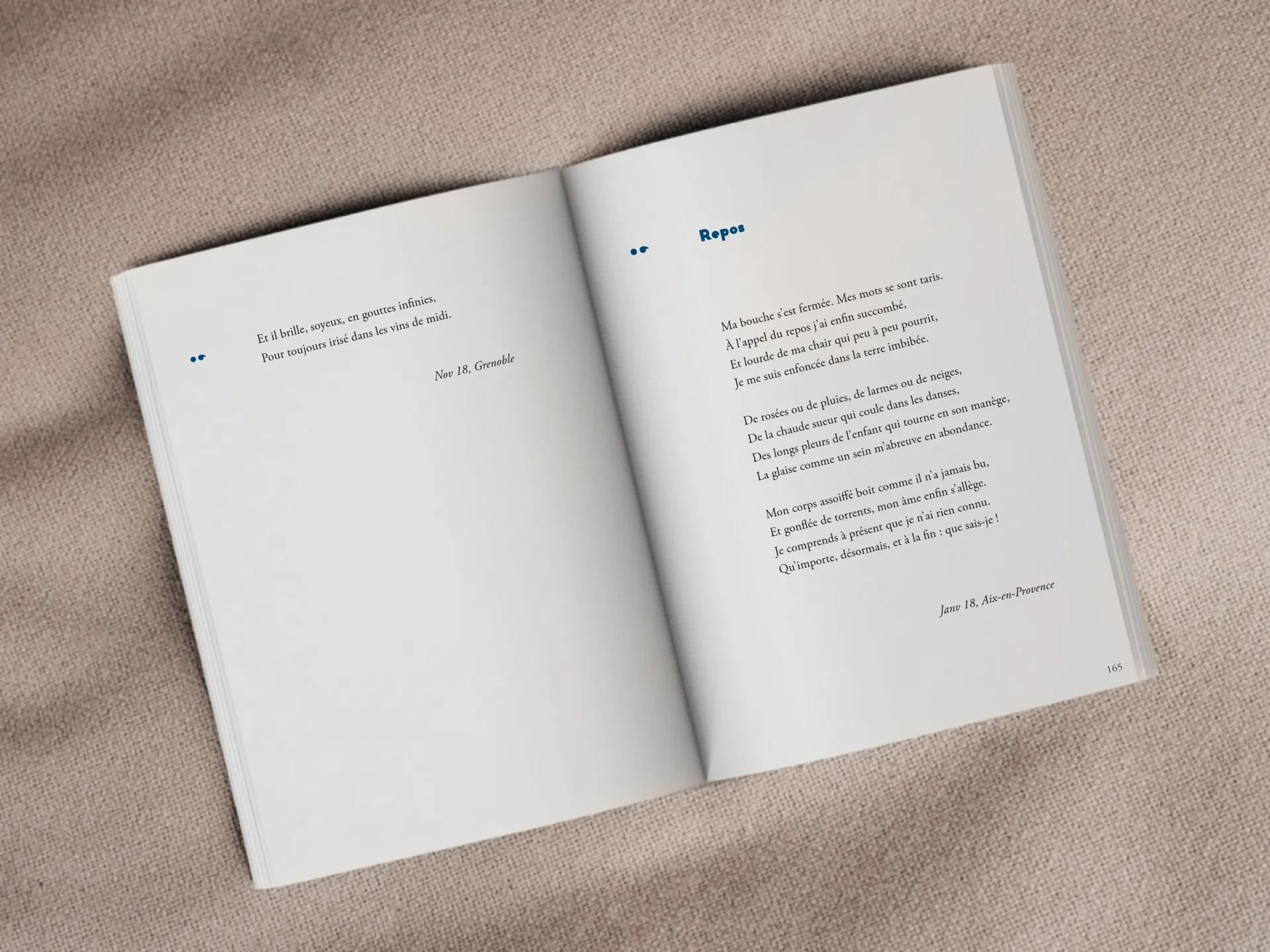 Cover of the book