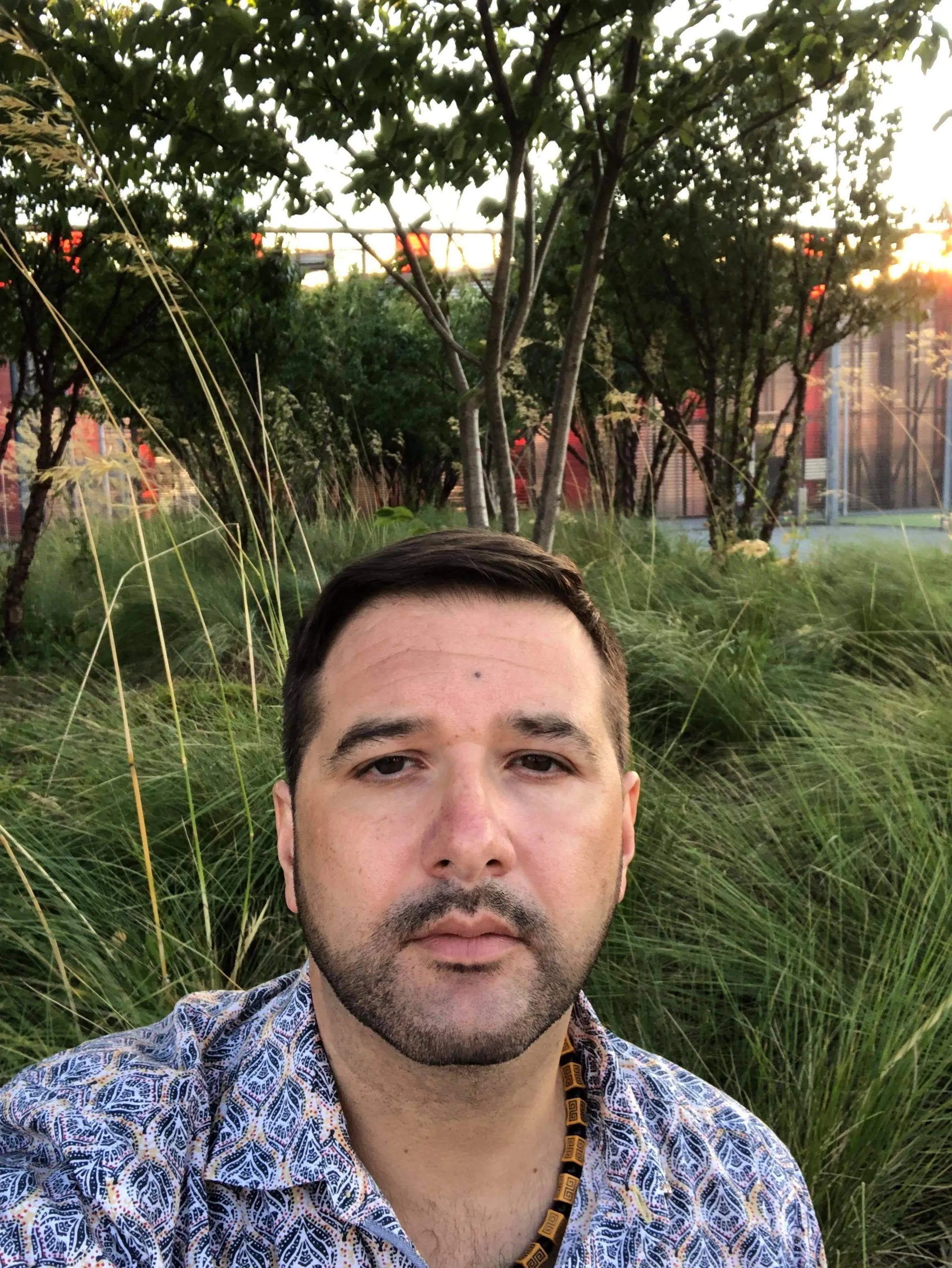 Portrait of the author