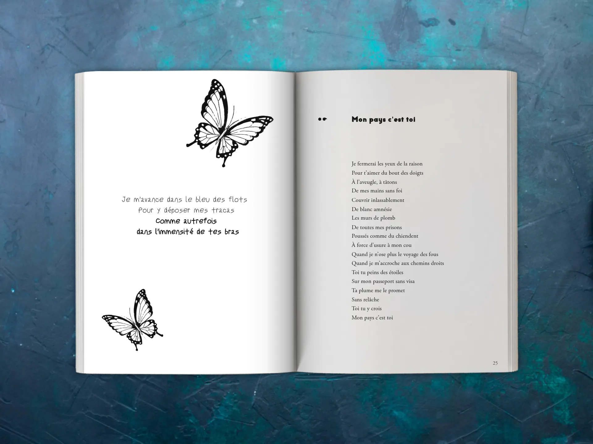 Cover of the book