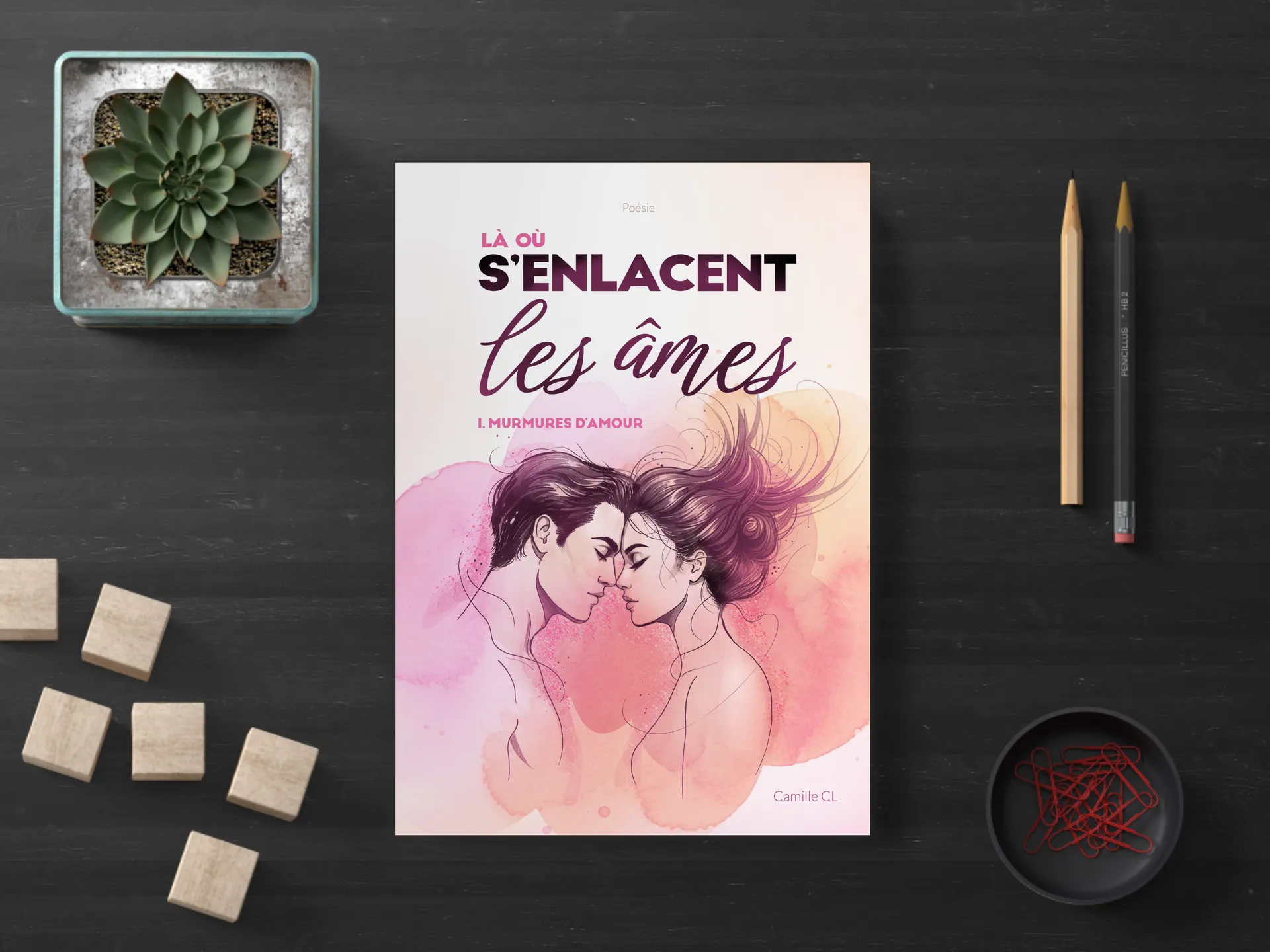 Cover of the book