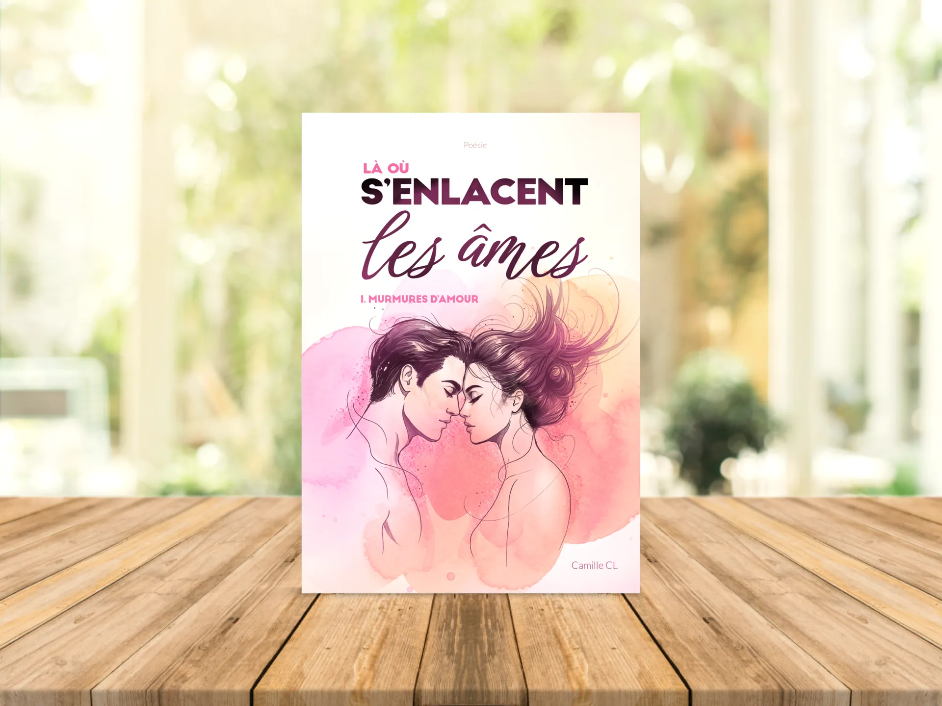 Cover of the book