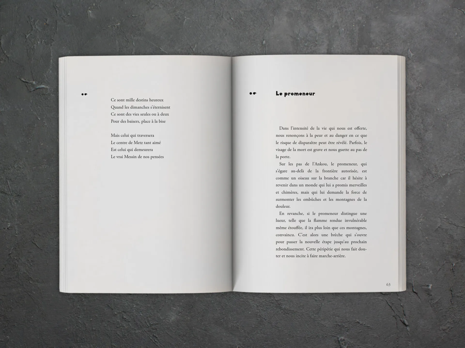 Cover of the book