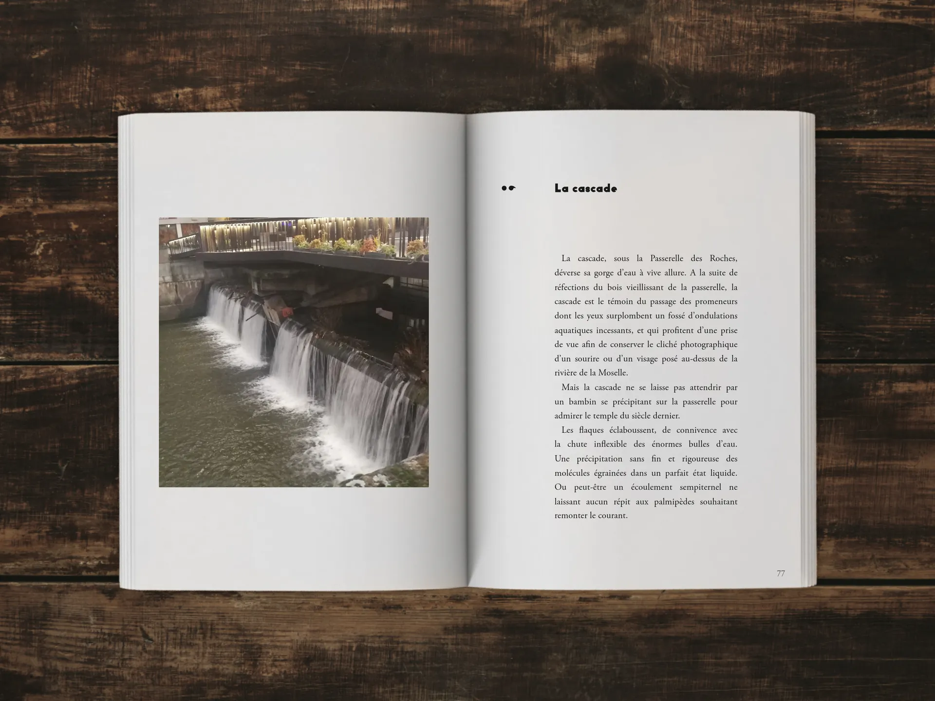 Cover of the book