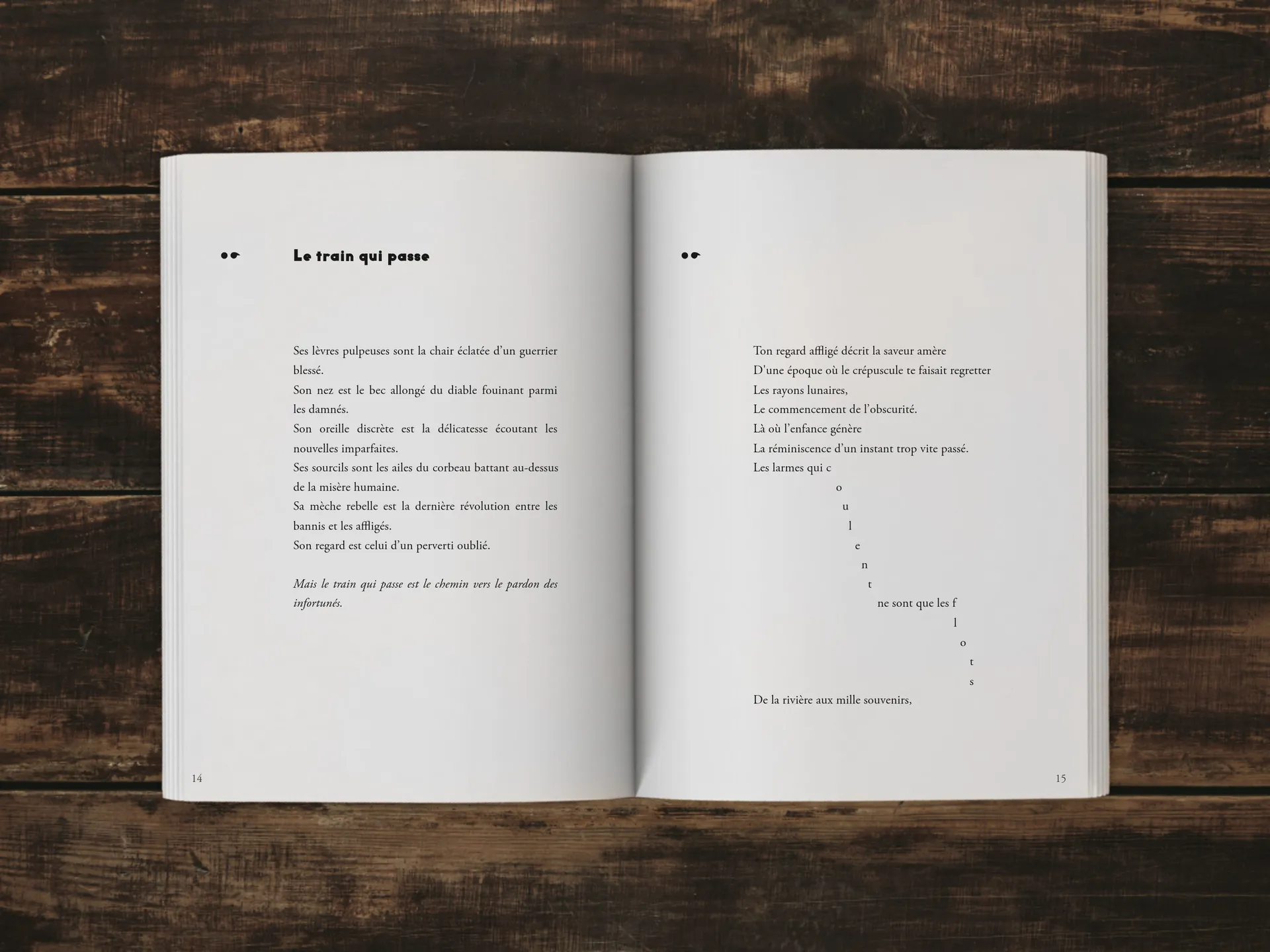 Cover of the book