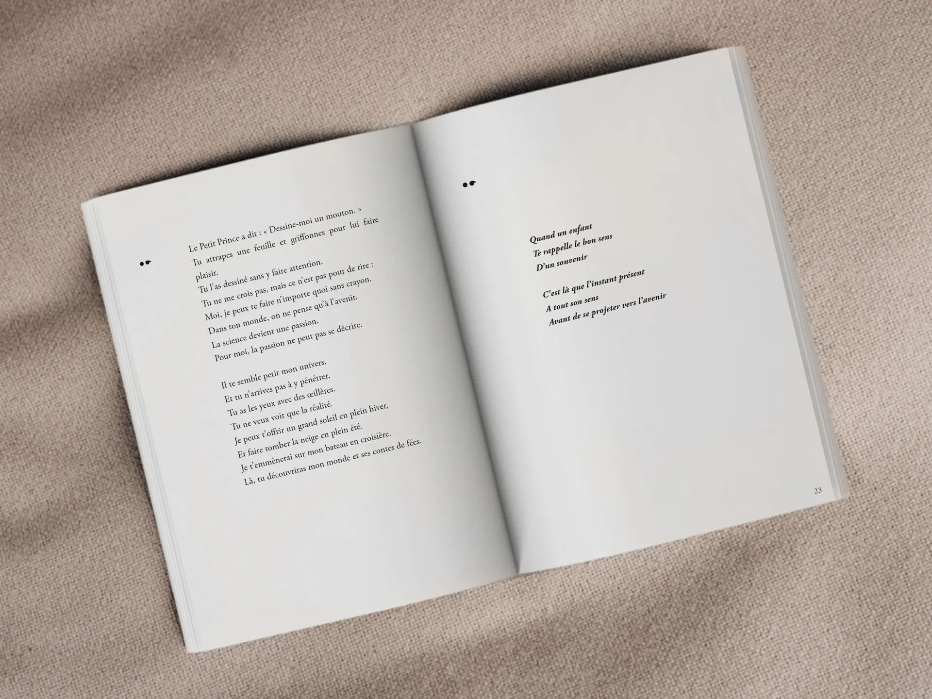 Cover of the book