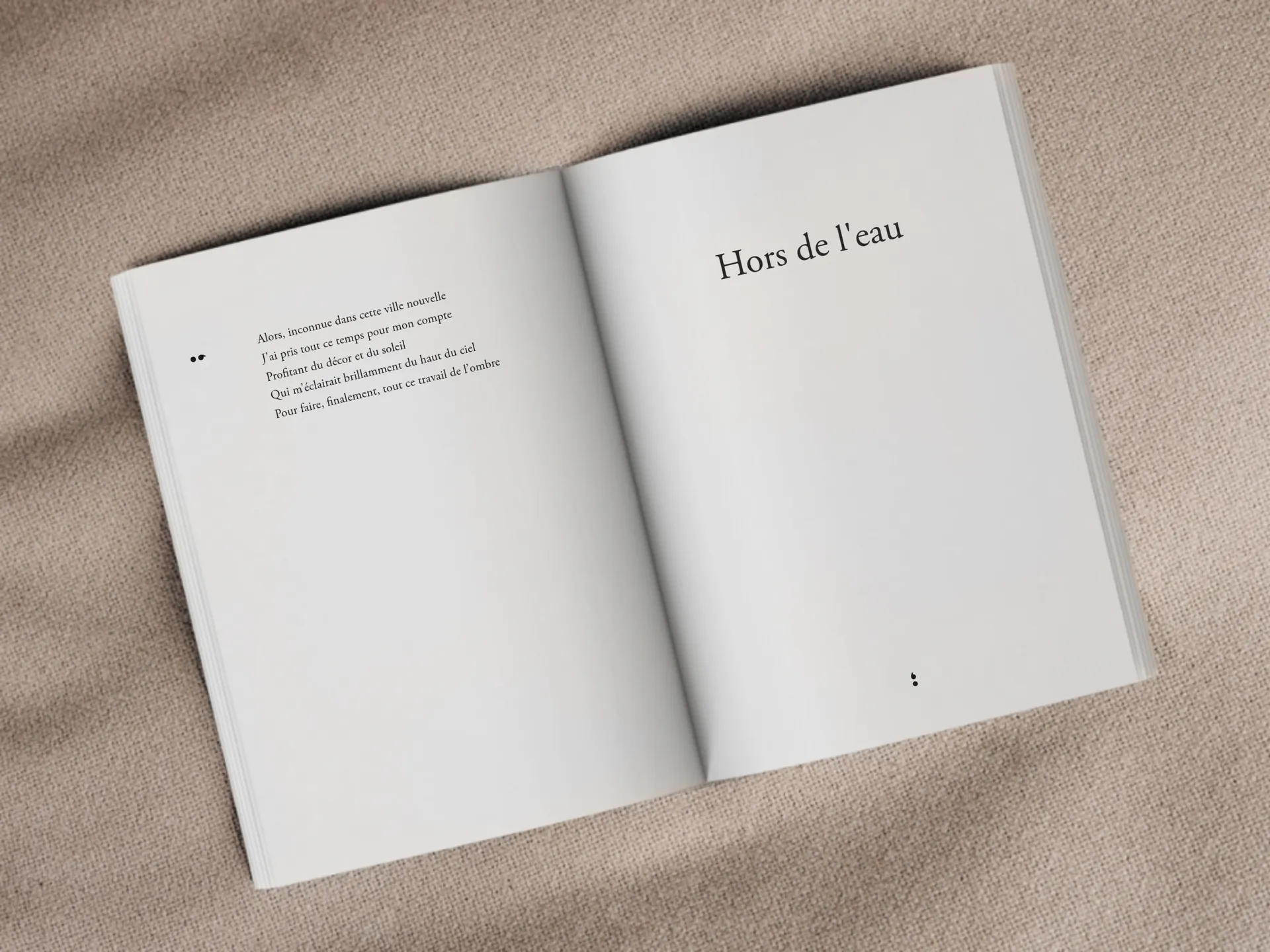 Cover of the book