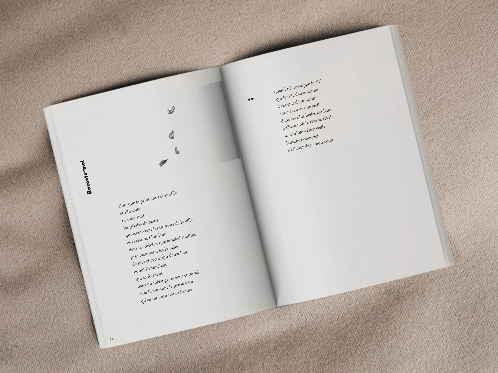 Cover of the book