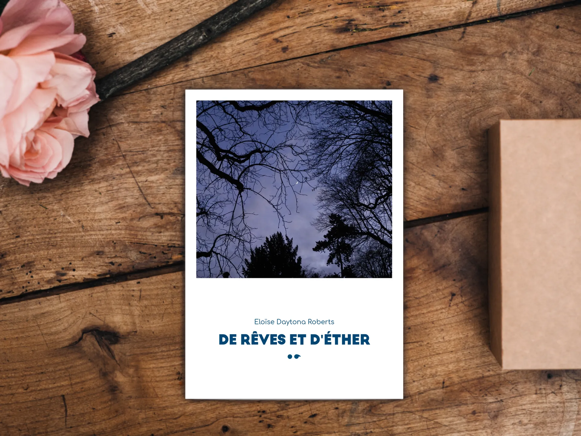Cover of the book