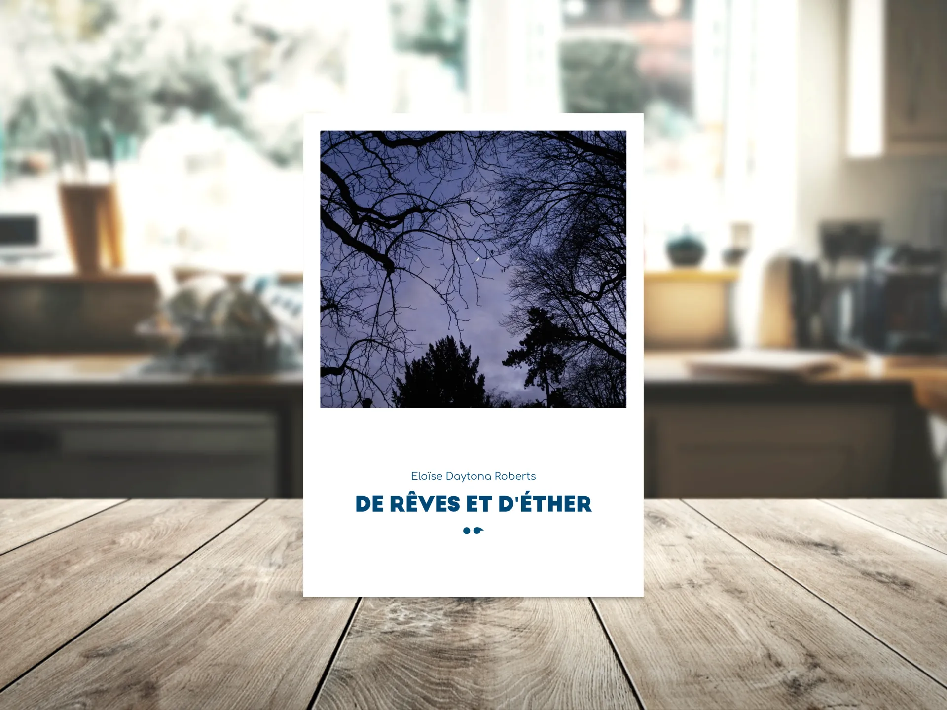 Cover of the book