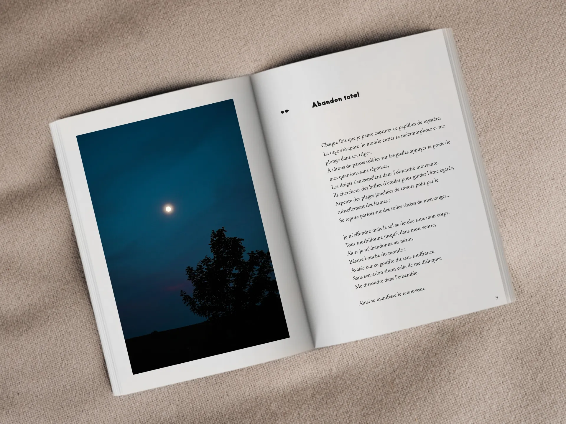 Cover of the book