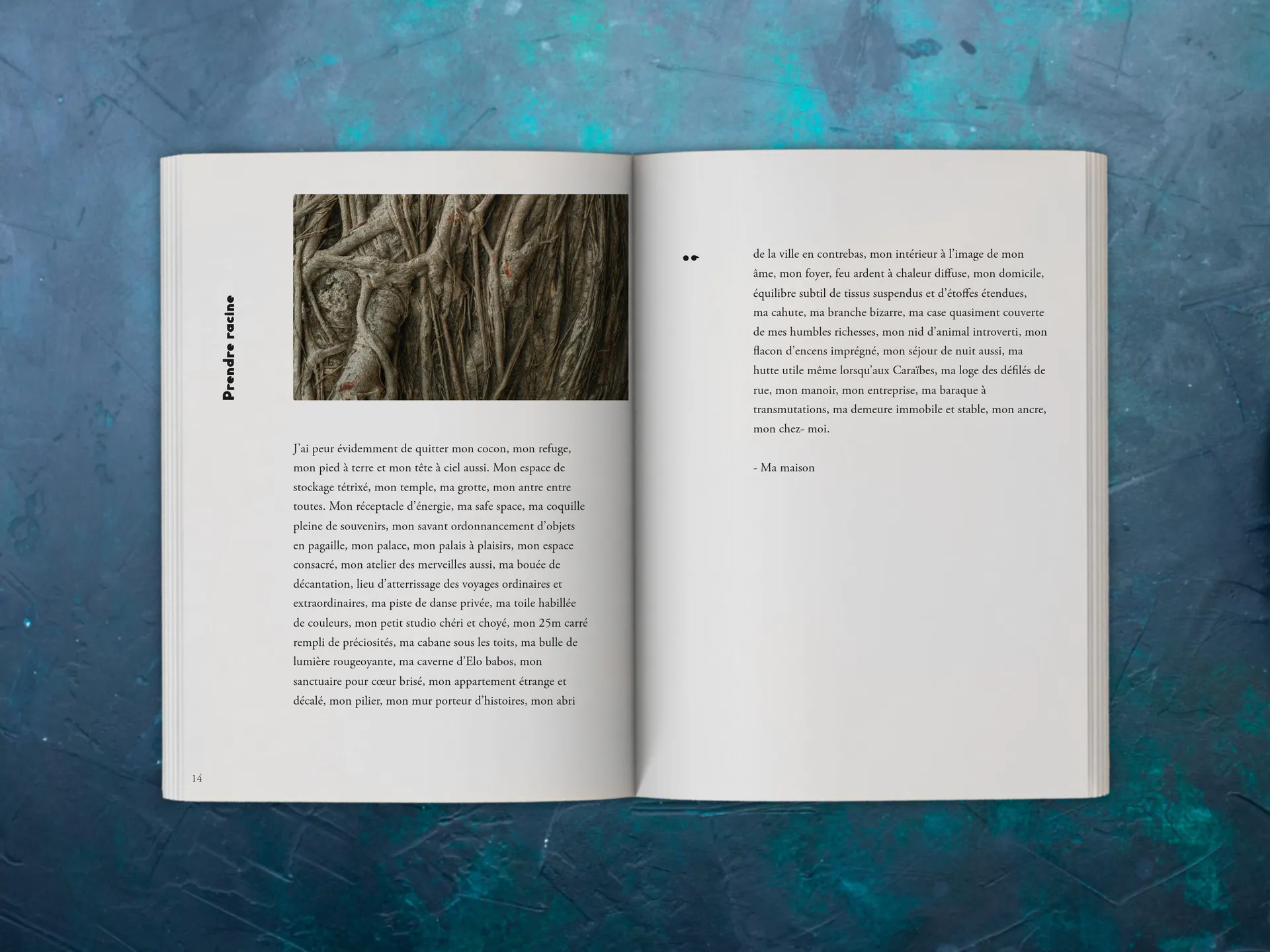 Cover of the book