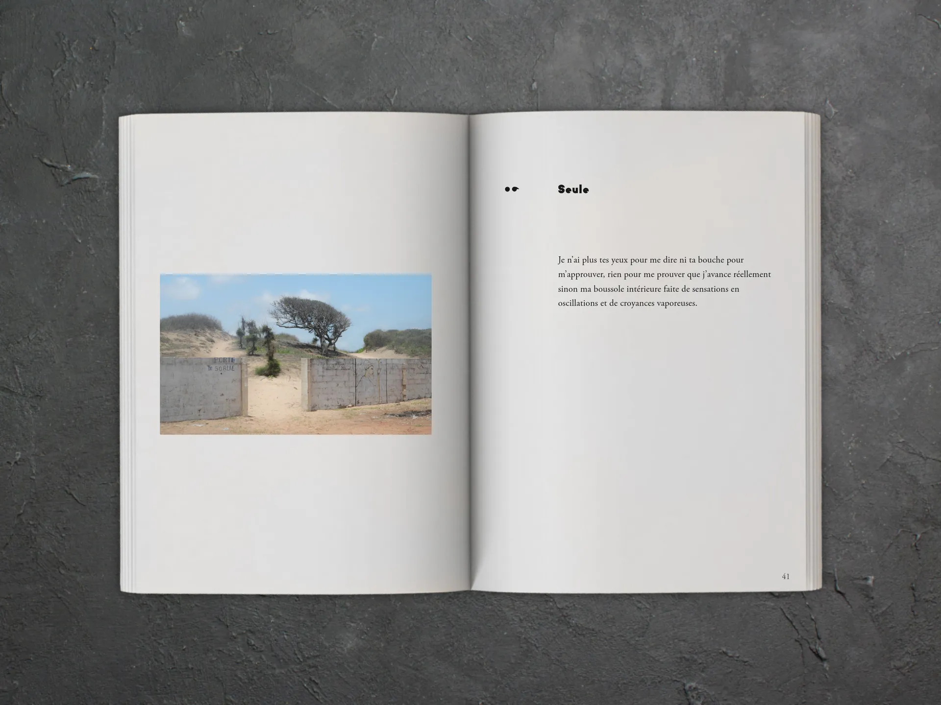 Cover of the book