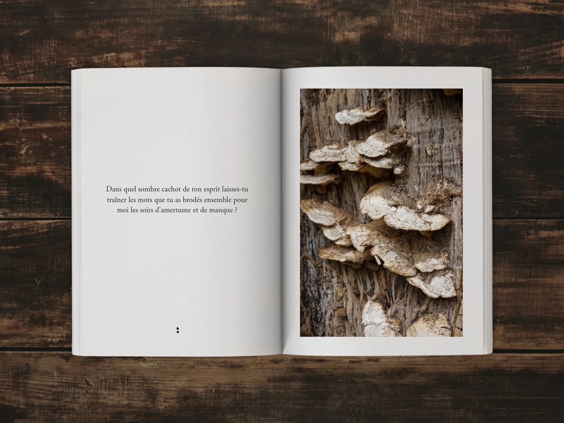 Cover of the book