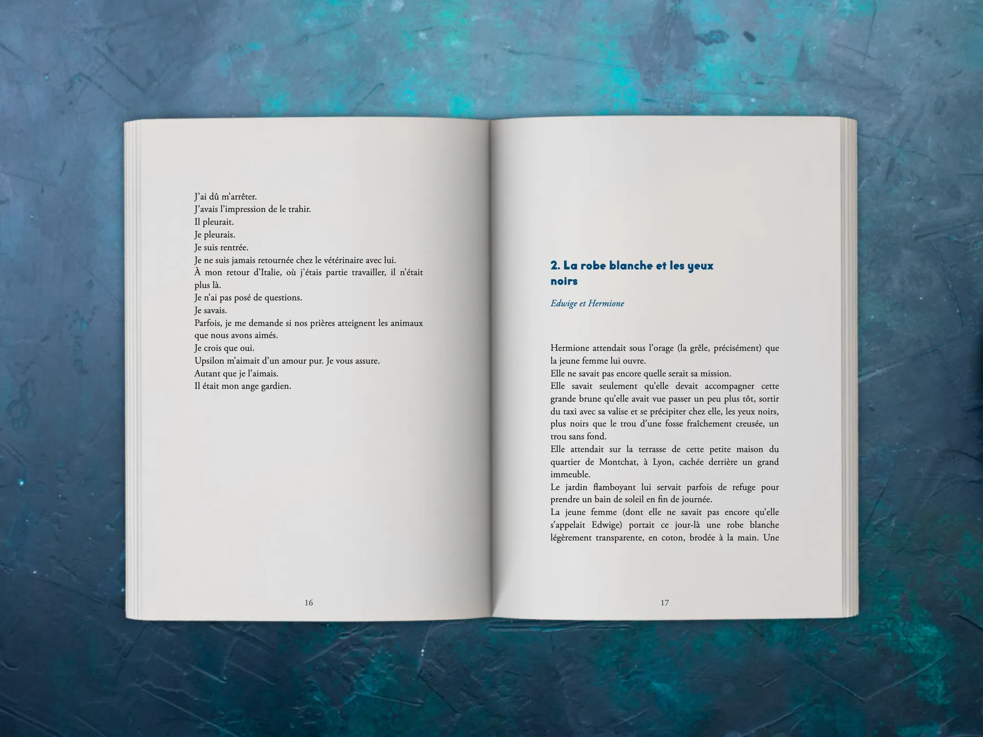 Cover of the book