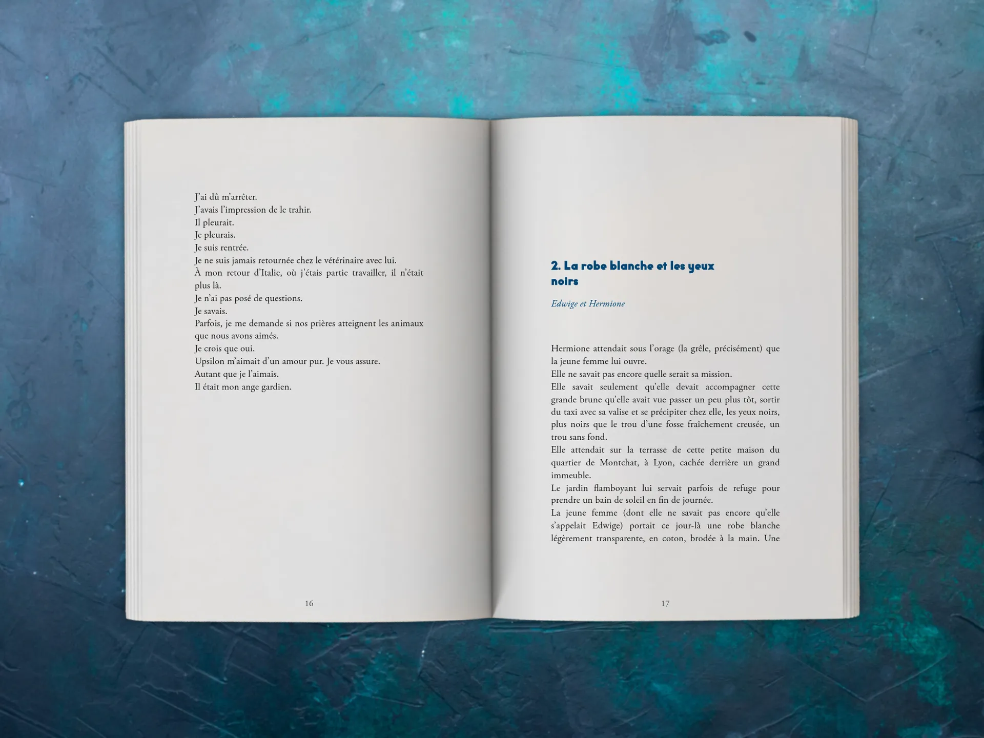 Cover of the book
