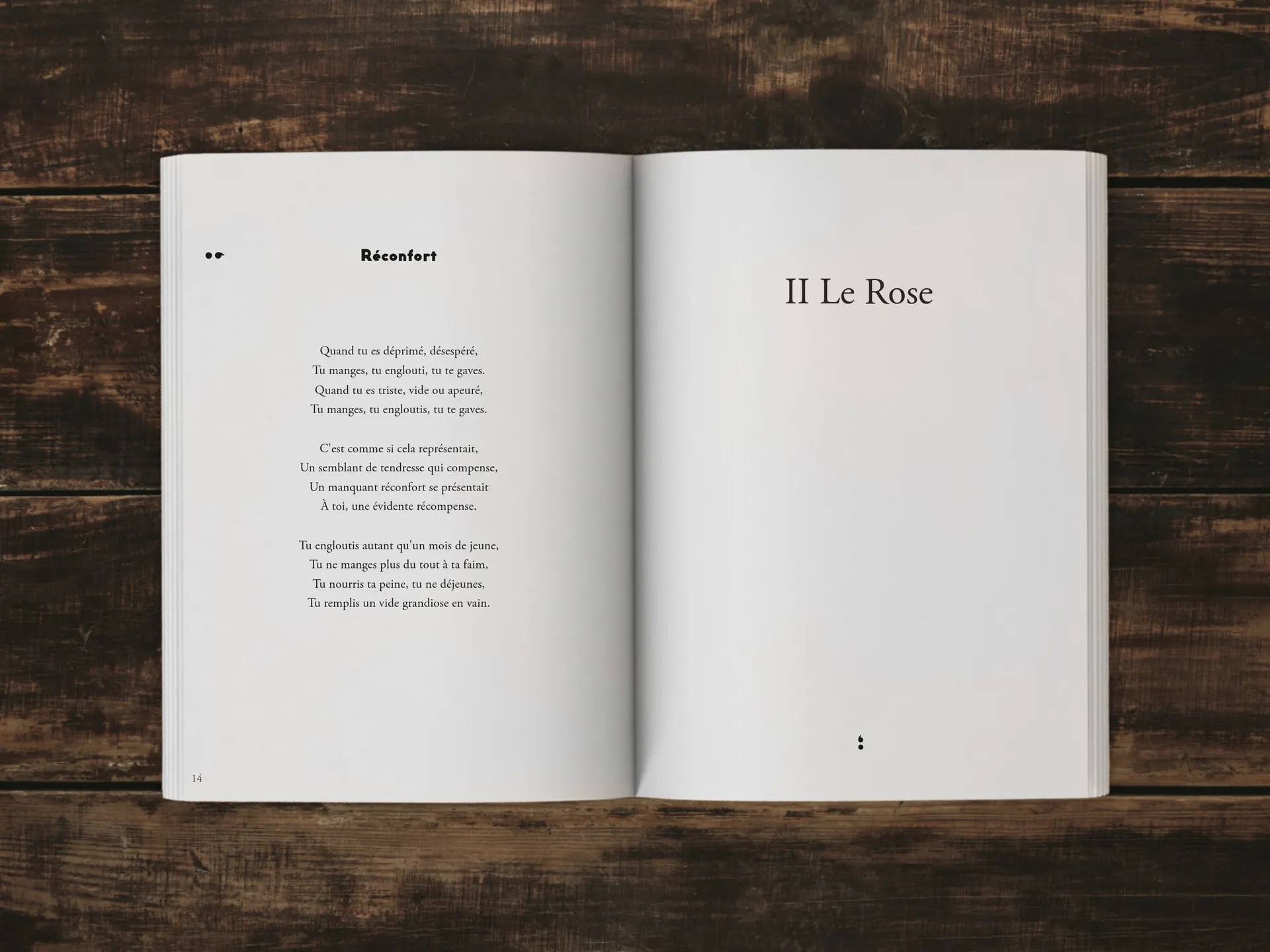 Cover of the book