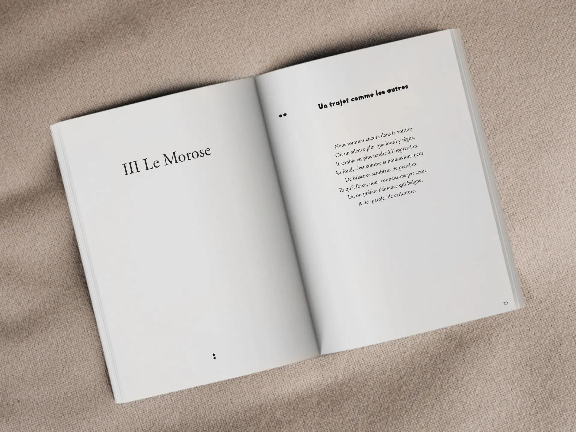 Cover of the book